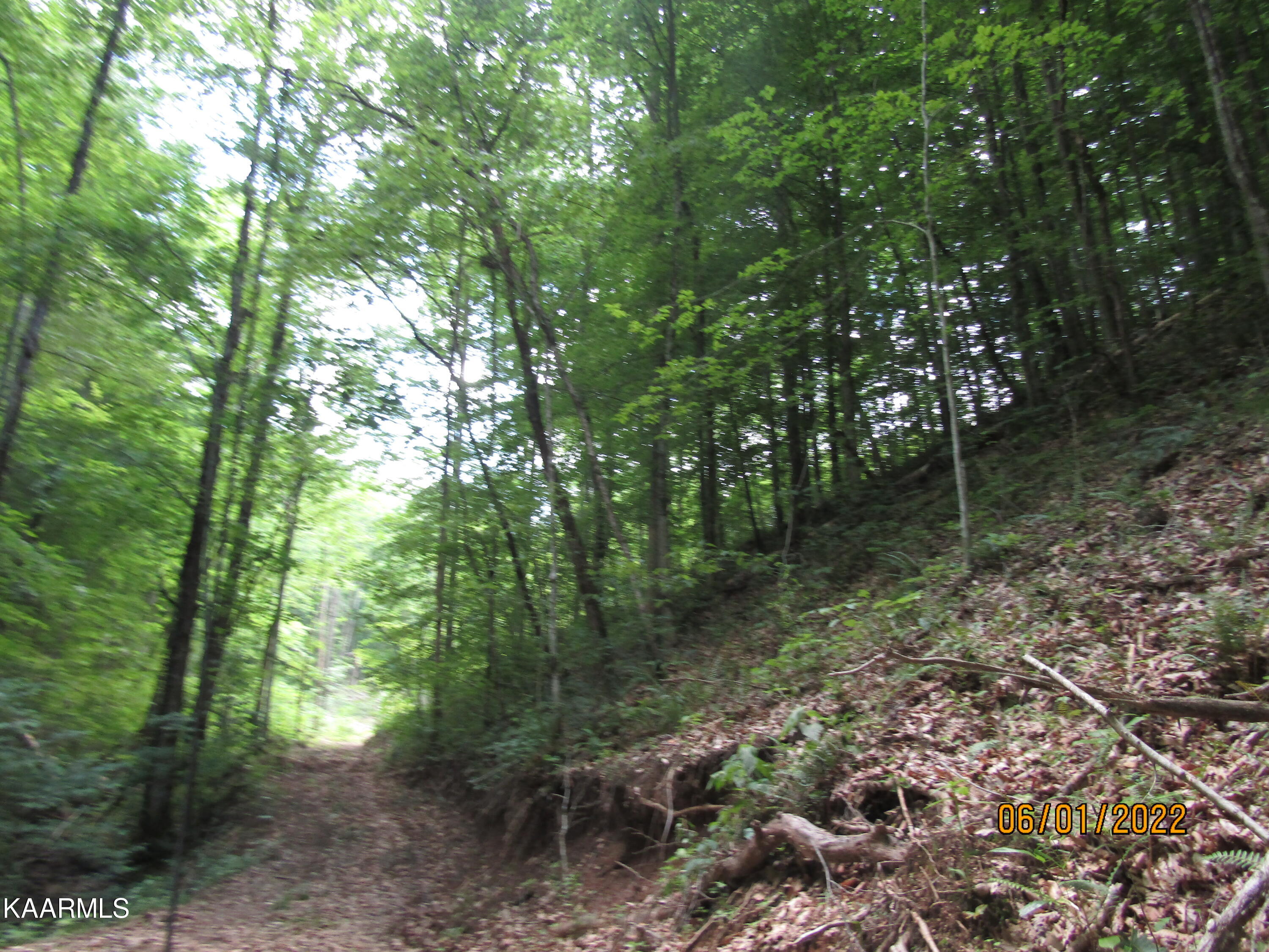 114 Acres State Highway 33 Tazewell TN 37879