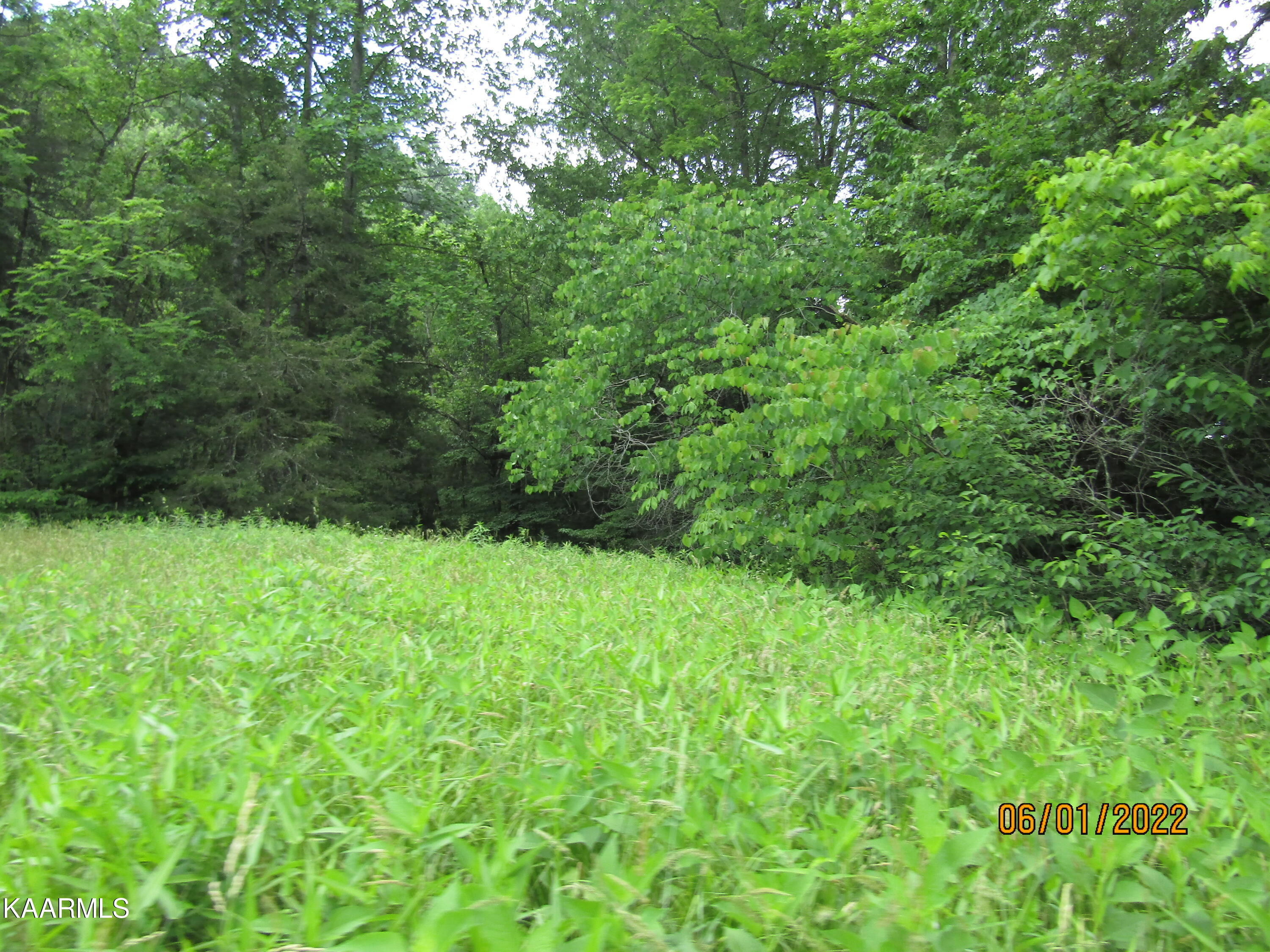114 Acres State Highway 33 Tazewell TN 37879