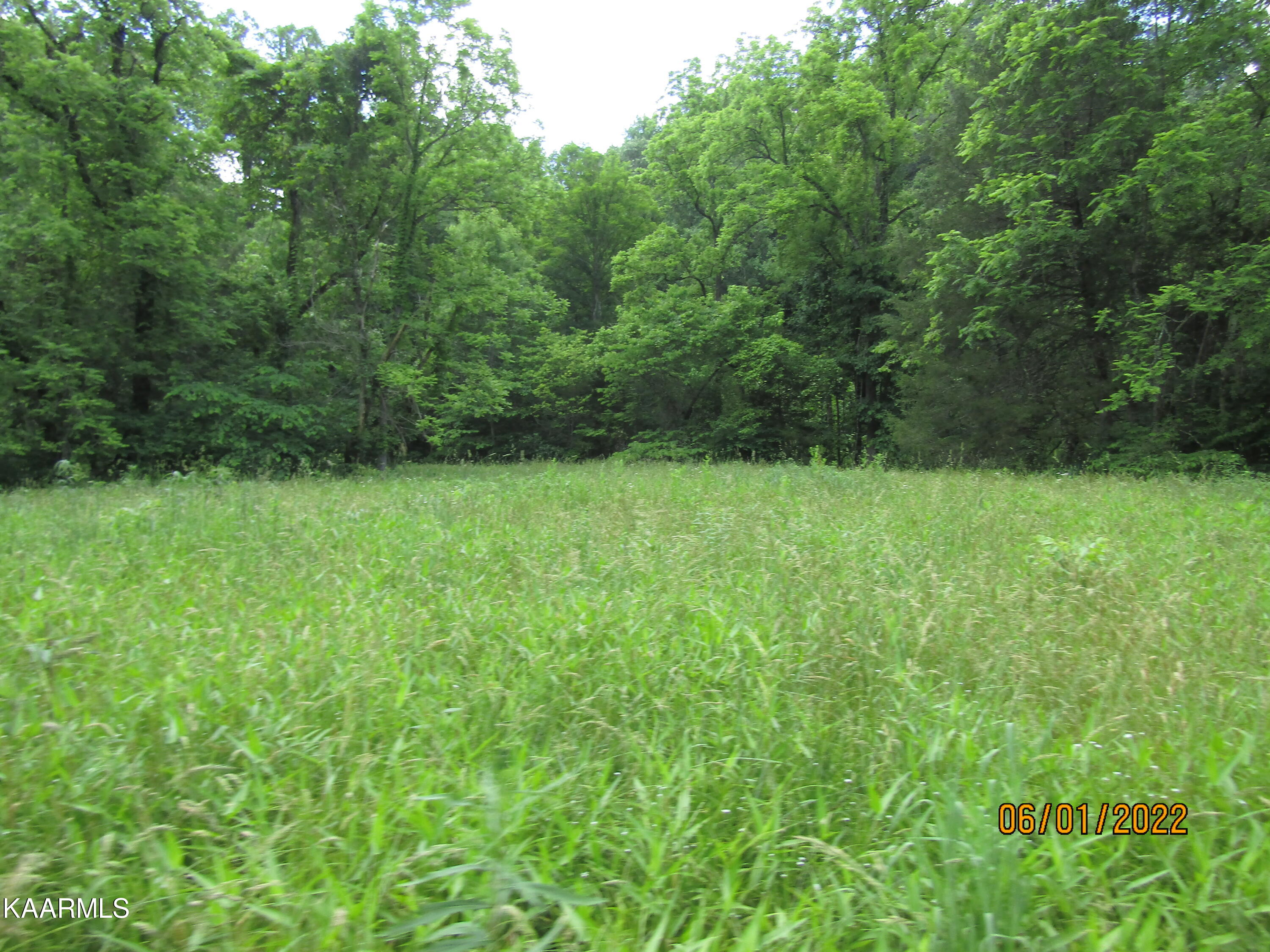 114 Acres State Highway 33 Tazewell TN 37879