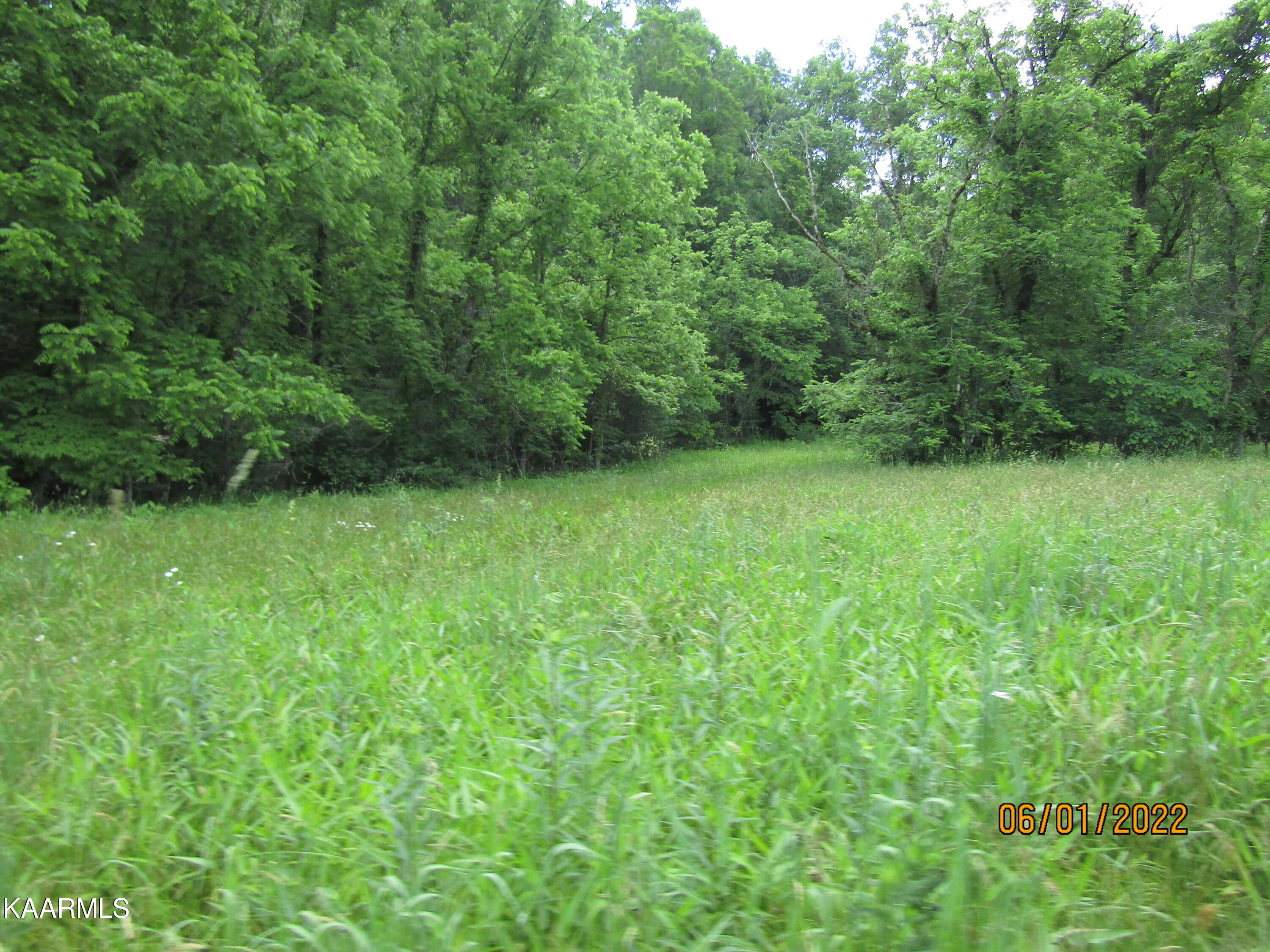 114 Acres State Highway 33 Tazewell TN 37879