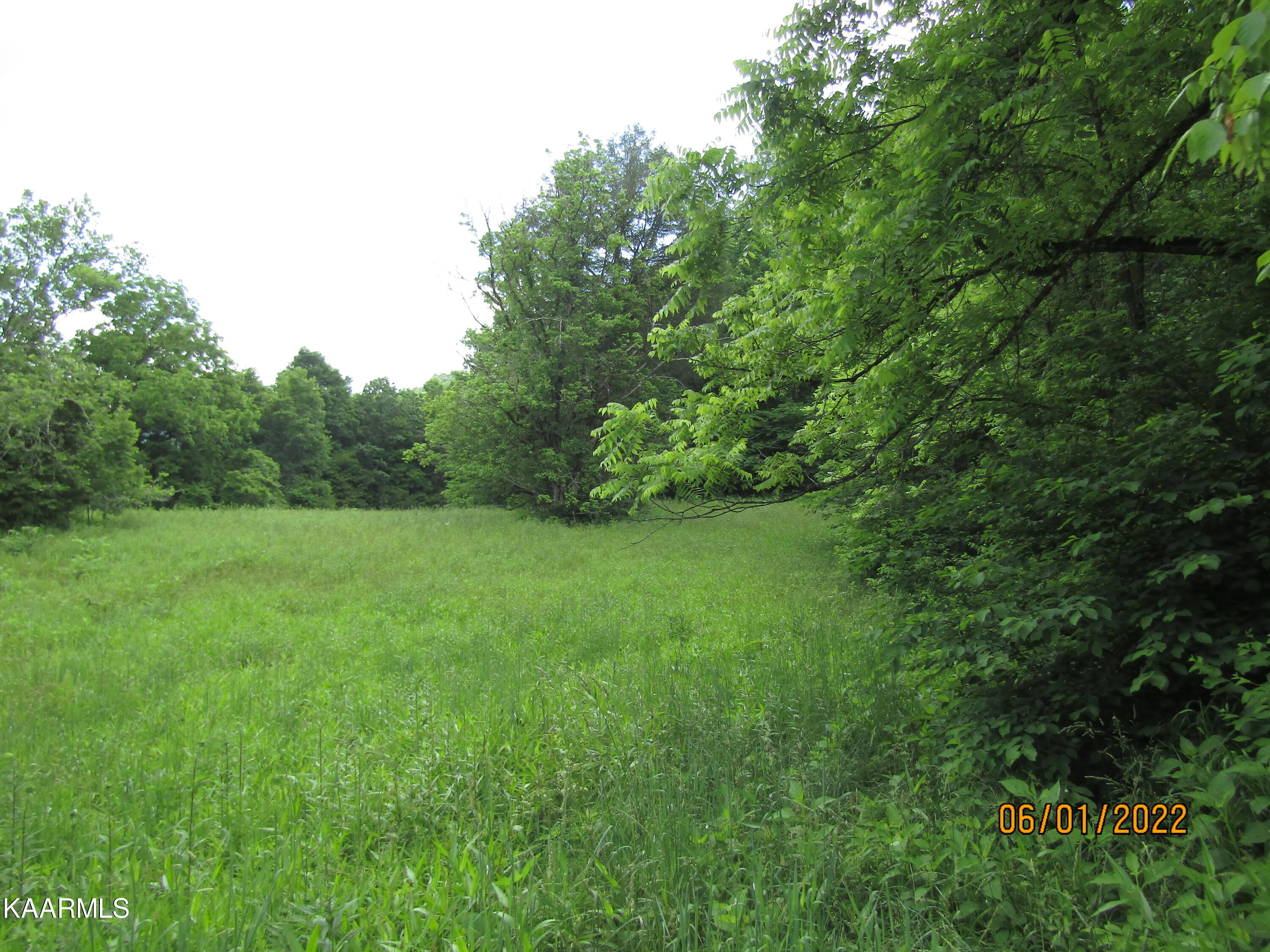 114 Acres State Highway 33 Tazewell TN 37879