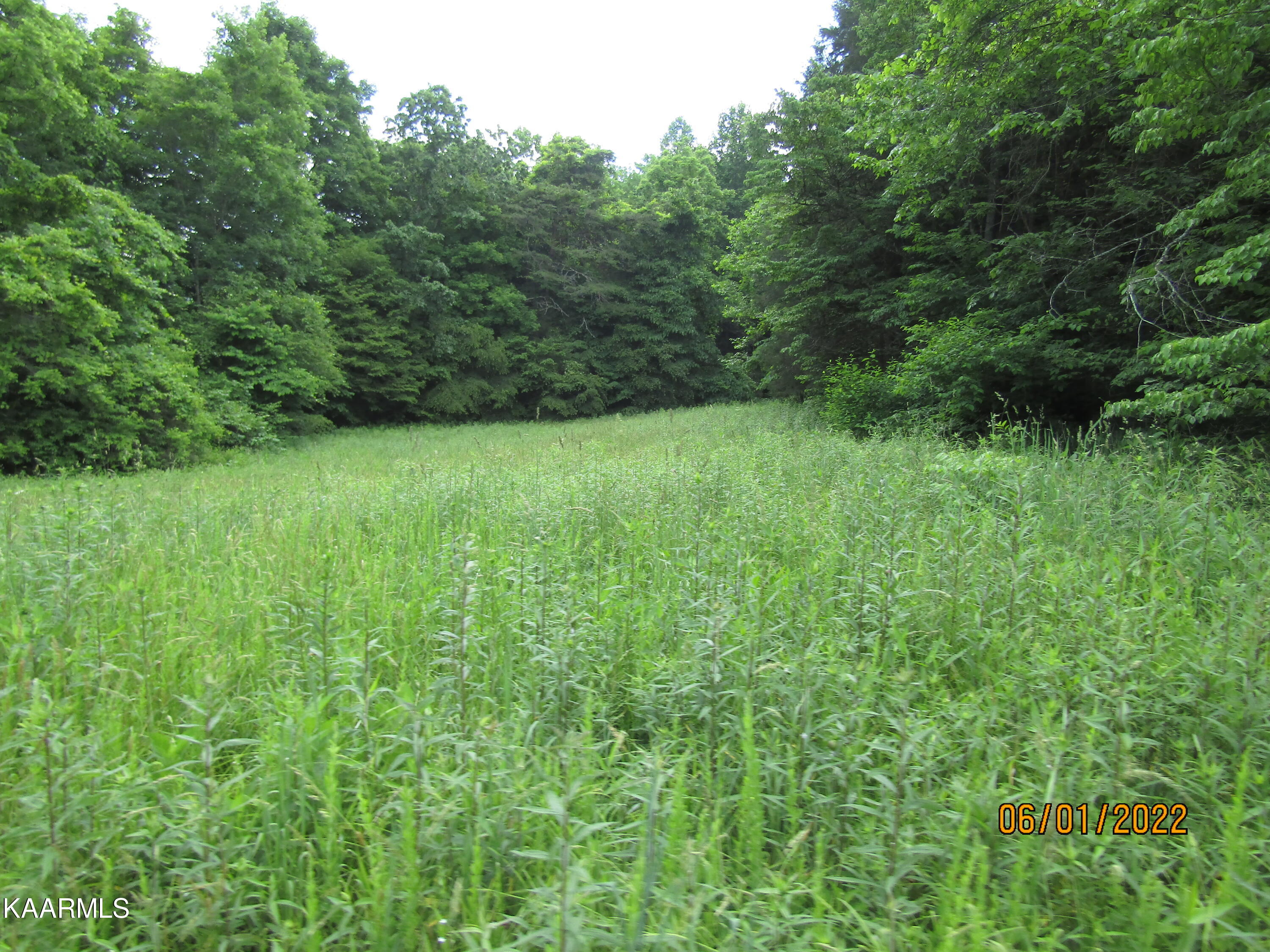 114 Acres State Highway 33 Tazewell TN 37879