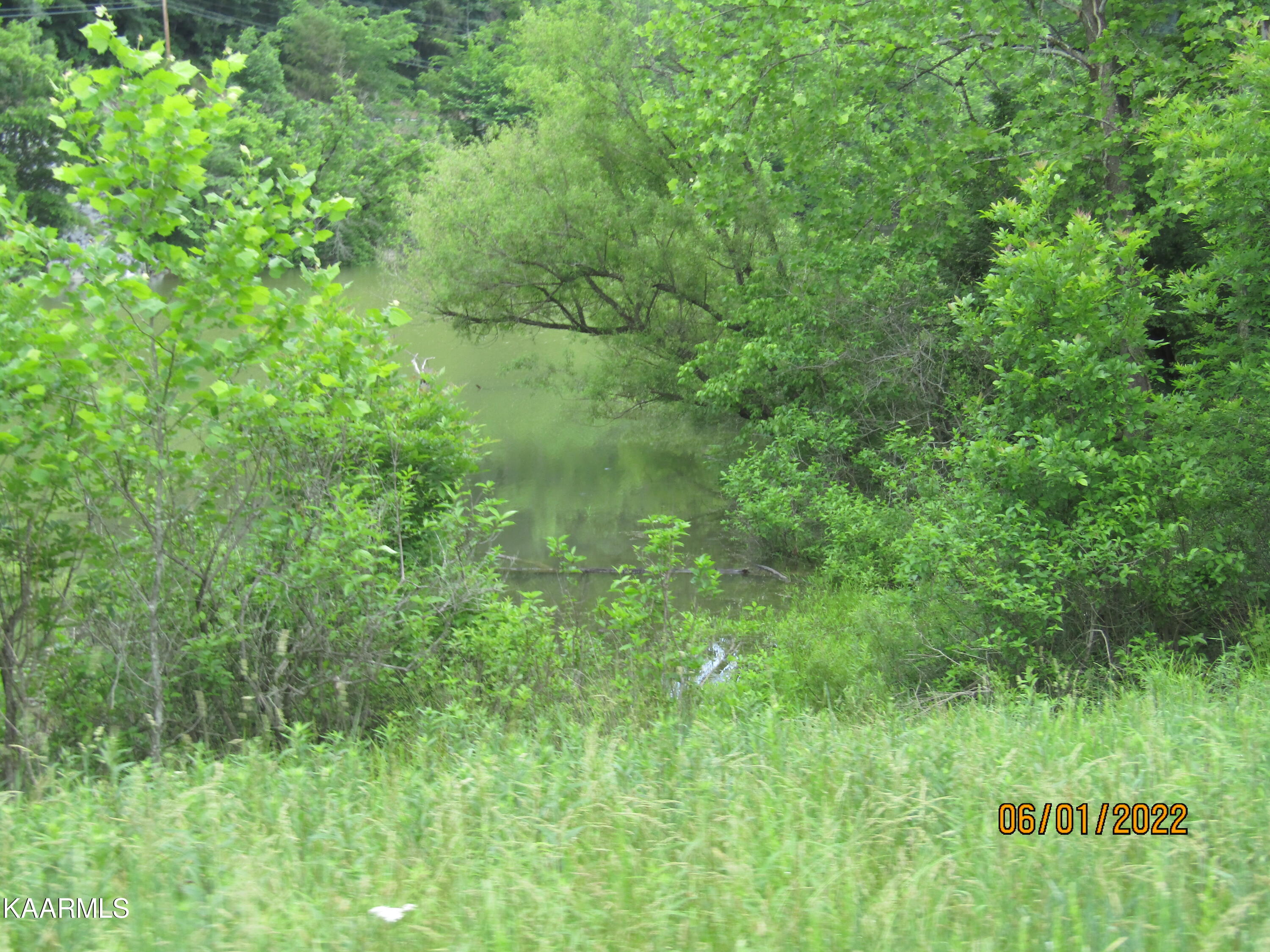114 Acres State Highway 33 Tazewell TN 37879