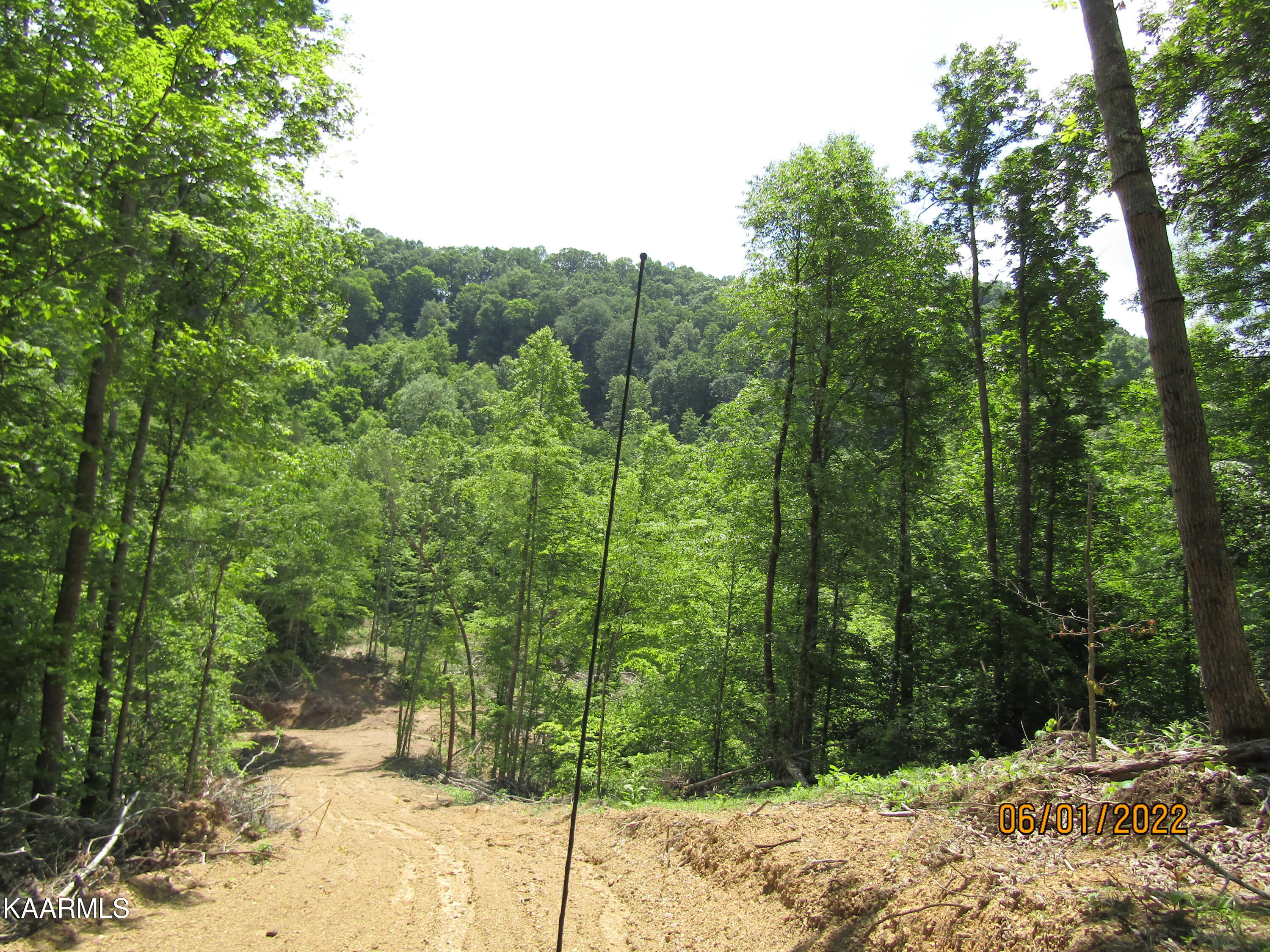114 Acres State Highway 33 Tazewell TN 37879