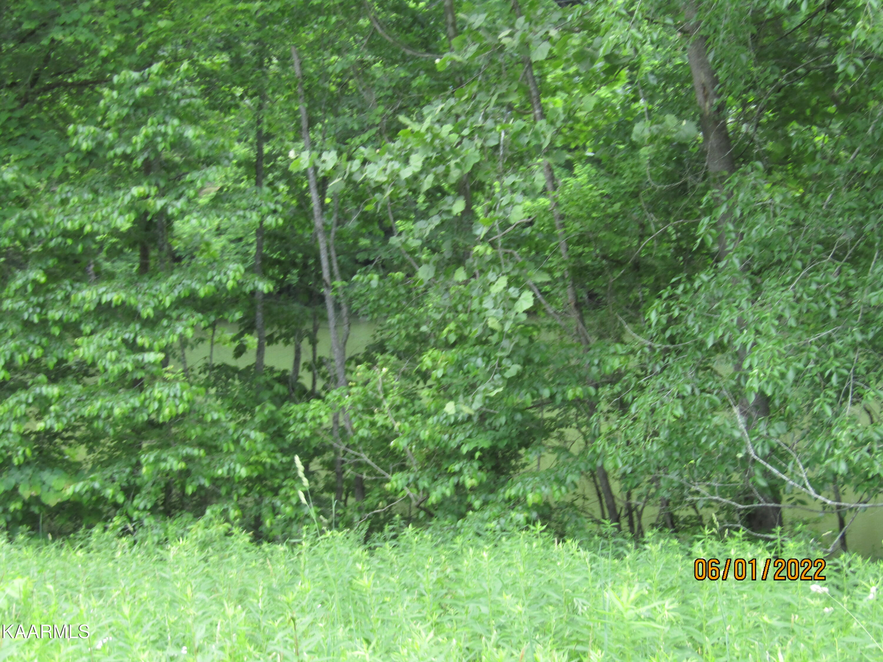 114 Acres State Highway 33 Tazewell TN 37879