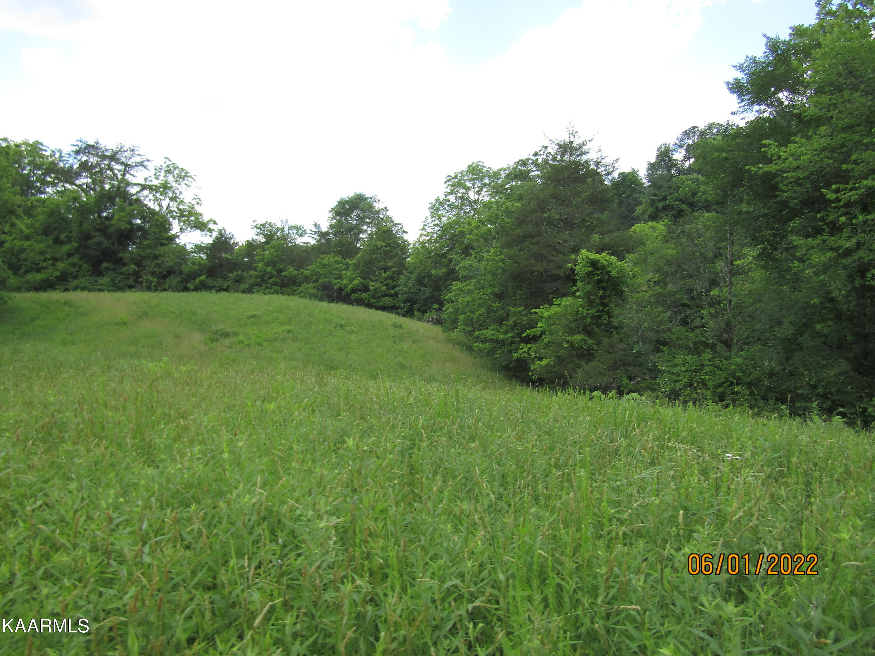 114 Acres State Highway 33 Tazewell TN 37879