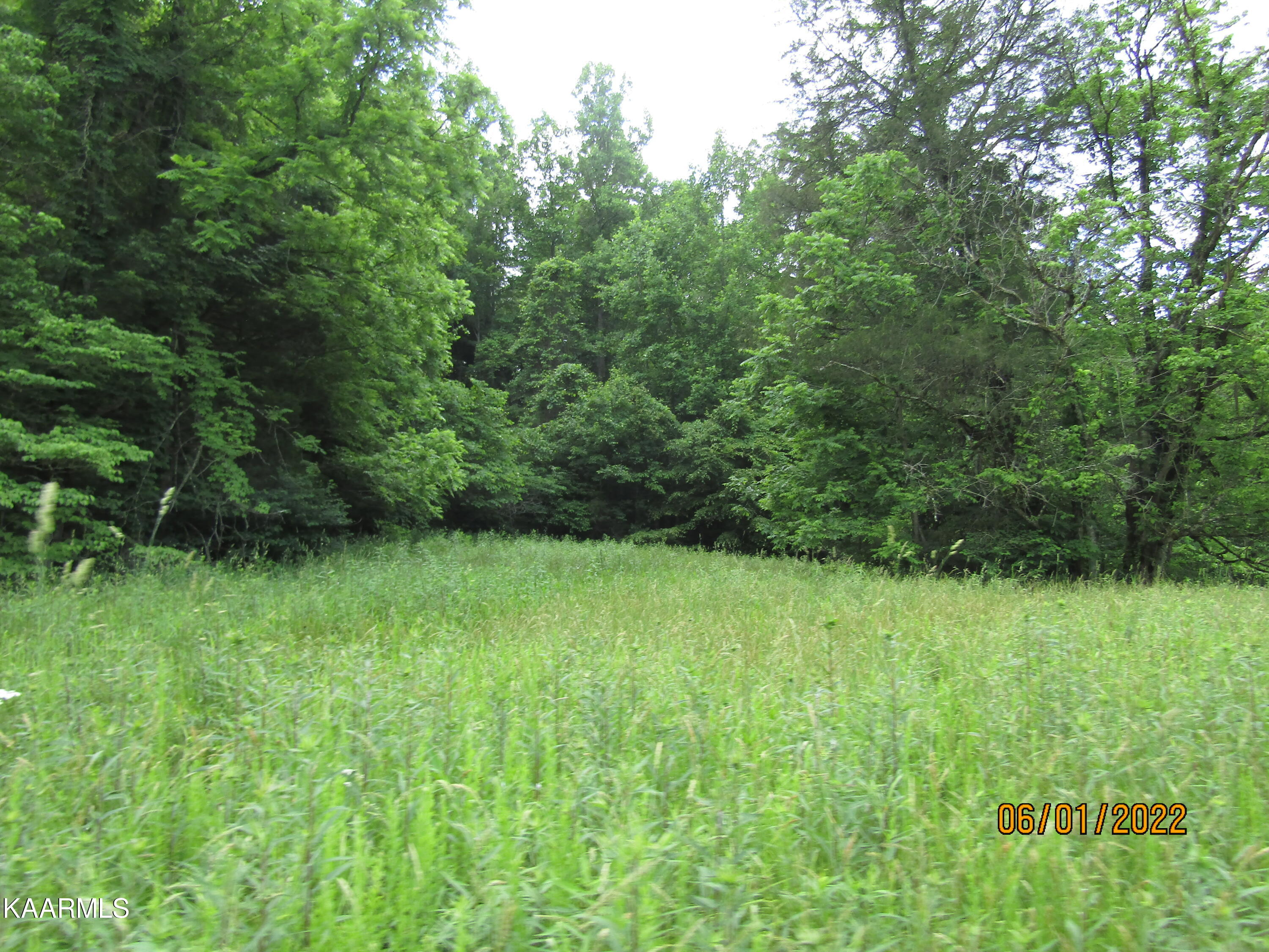 114 Acres State Highway 33 Tazewell TN 37879