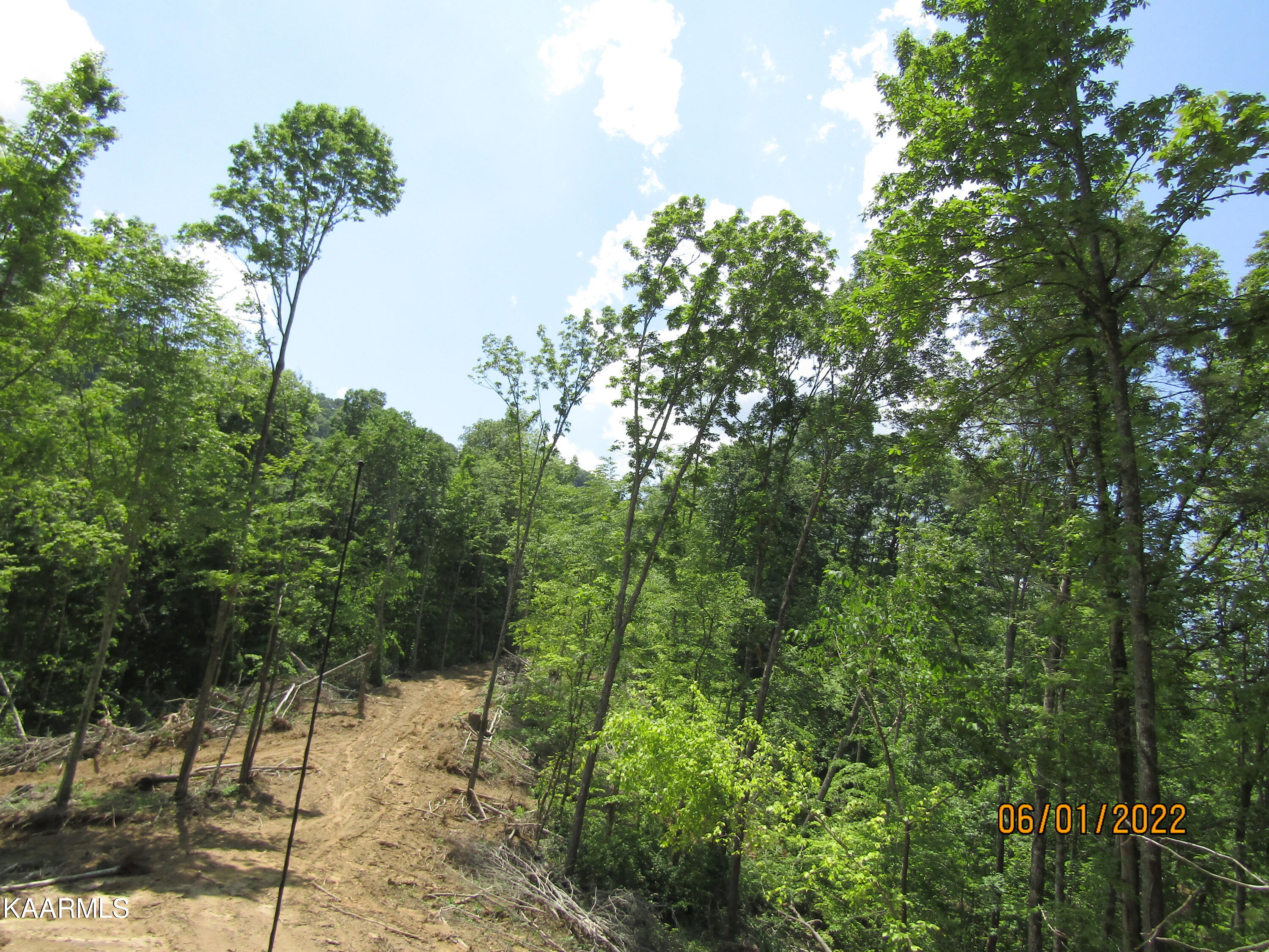 114 Acres State Highway 33 Tazewell TN 37879