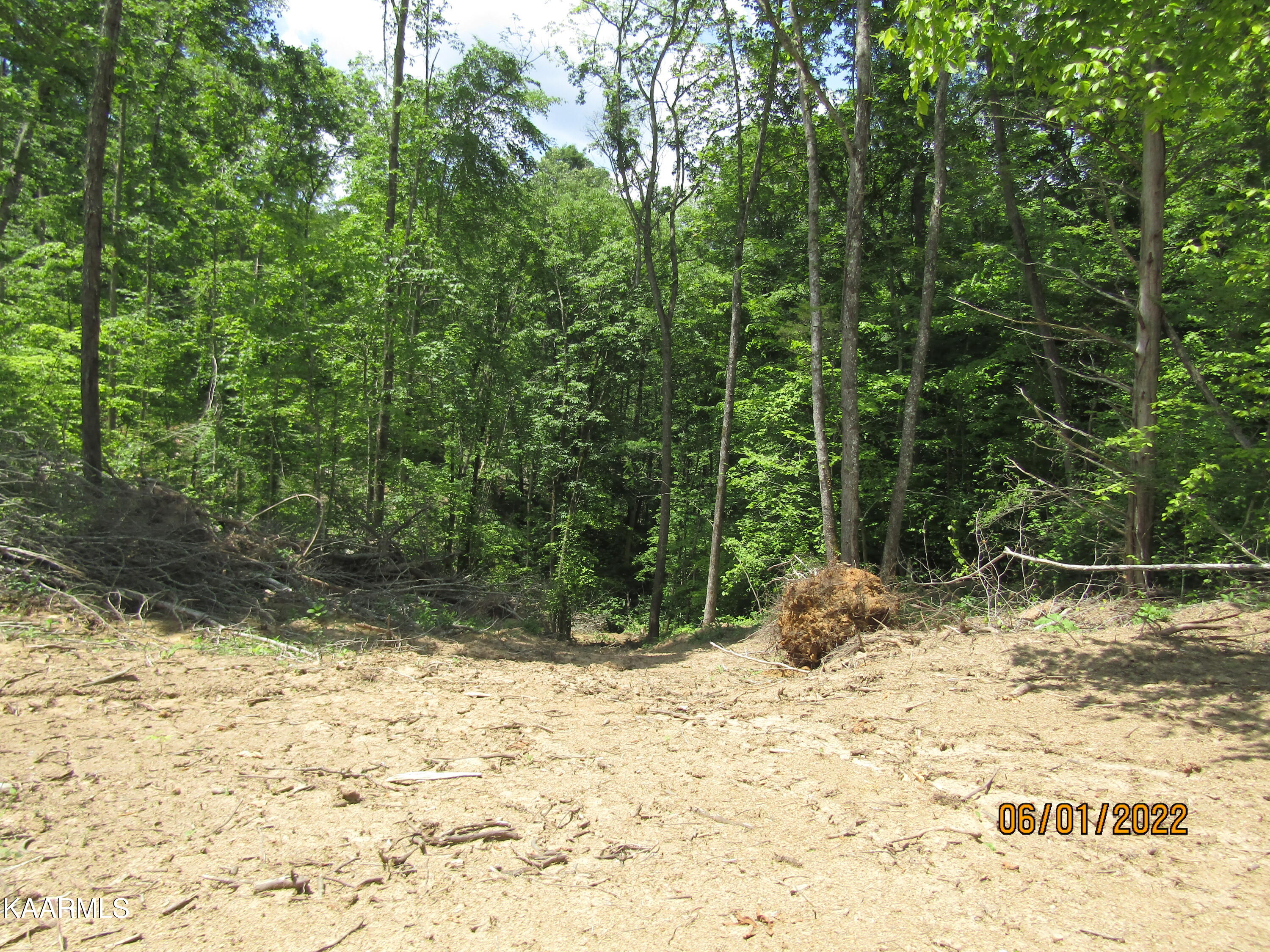 114 Acres State Highway 33 Tazewell TN 37879