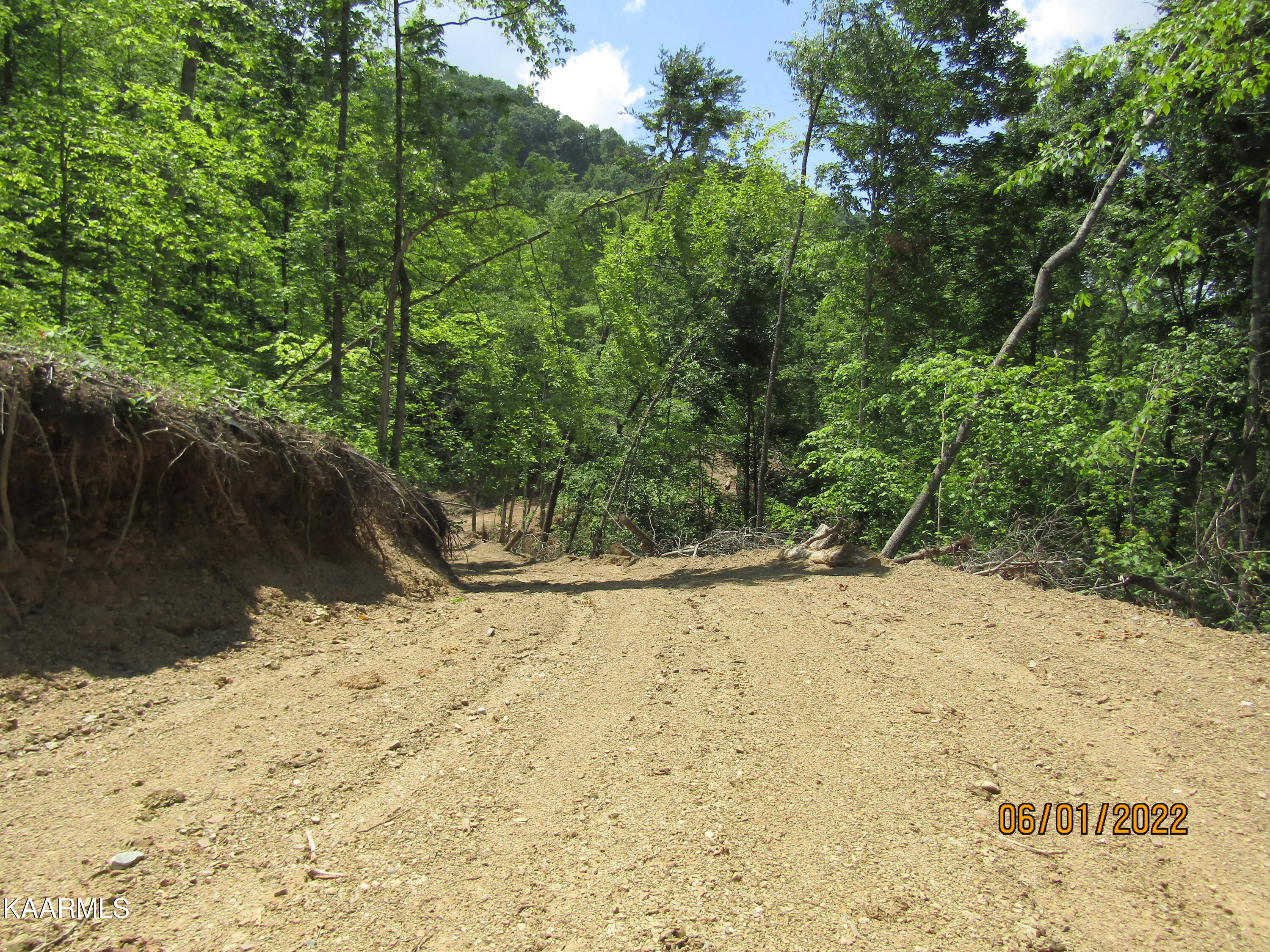 114 Acres State Highway 33 Tazewell TN 37879
