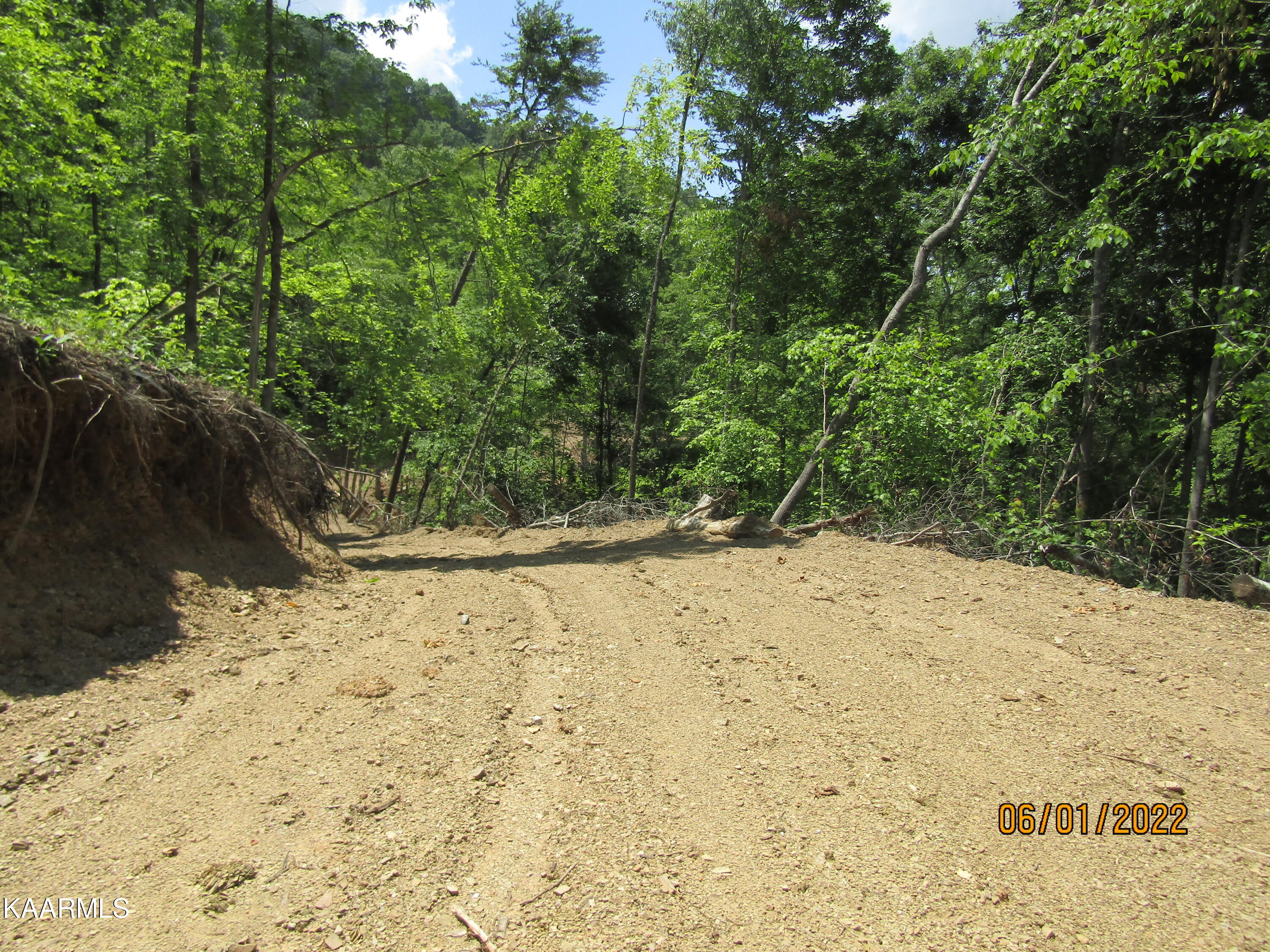 114 Acres State Highway 33 Tazewell TN 37879