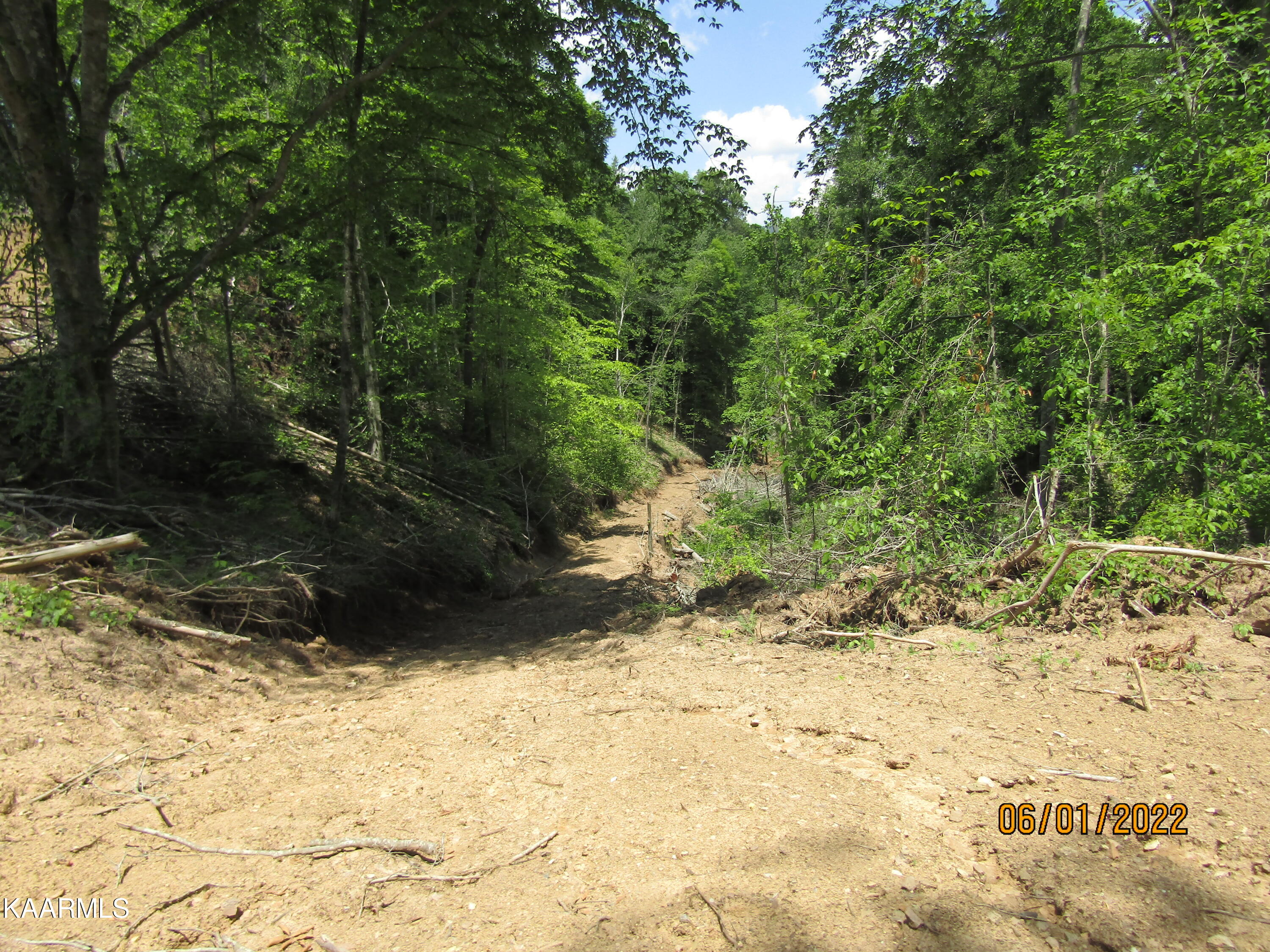 114 Acres State Highway 33 Tazewell TN 37879