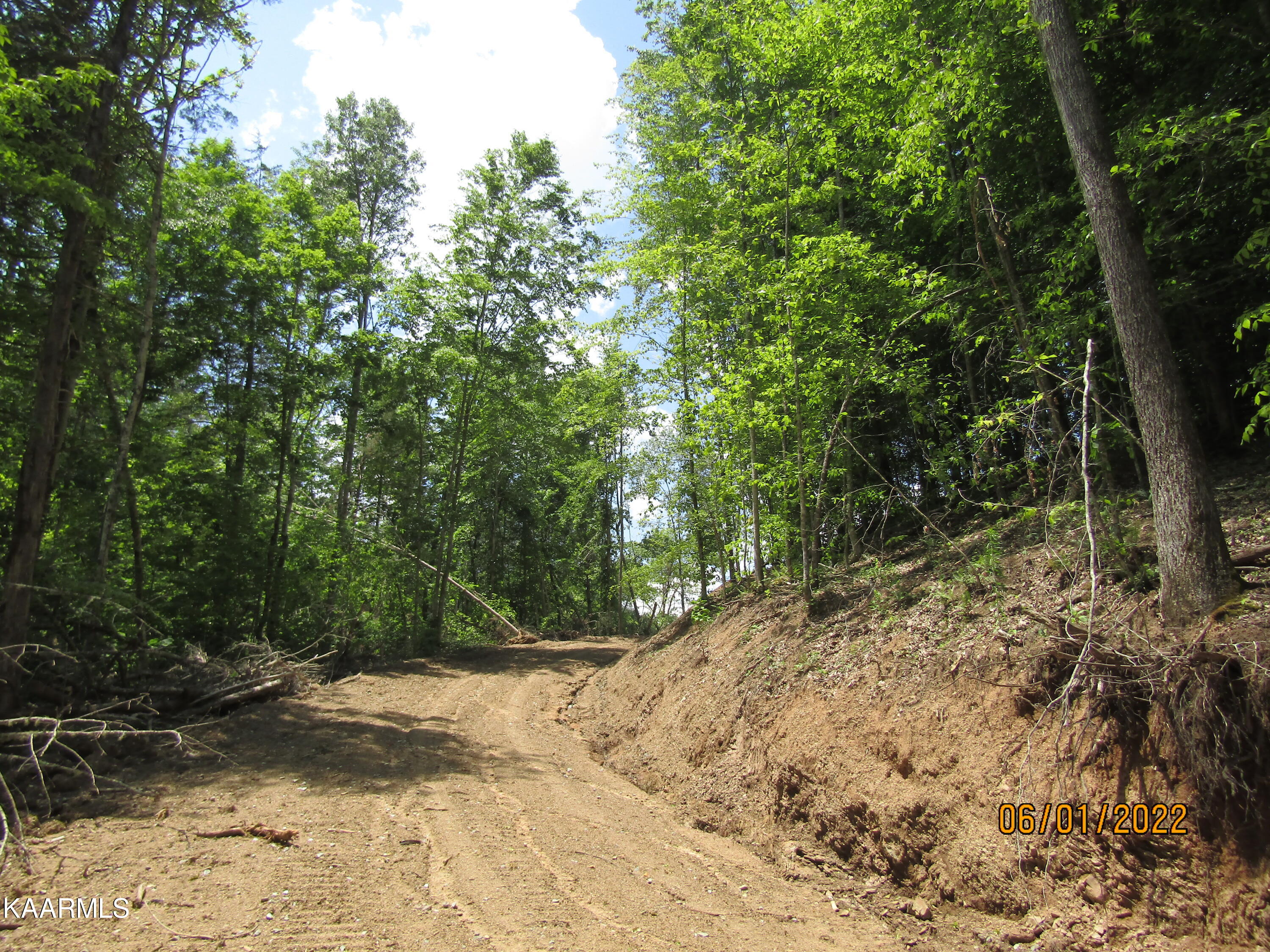 114 Acres State Highway 33 Tazewell TN 37879