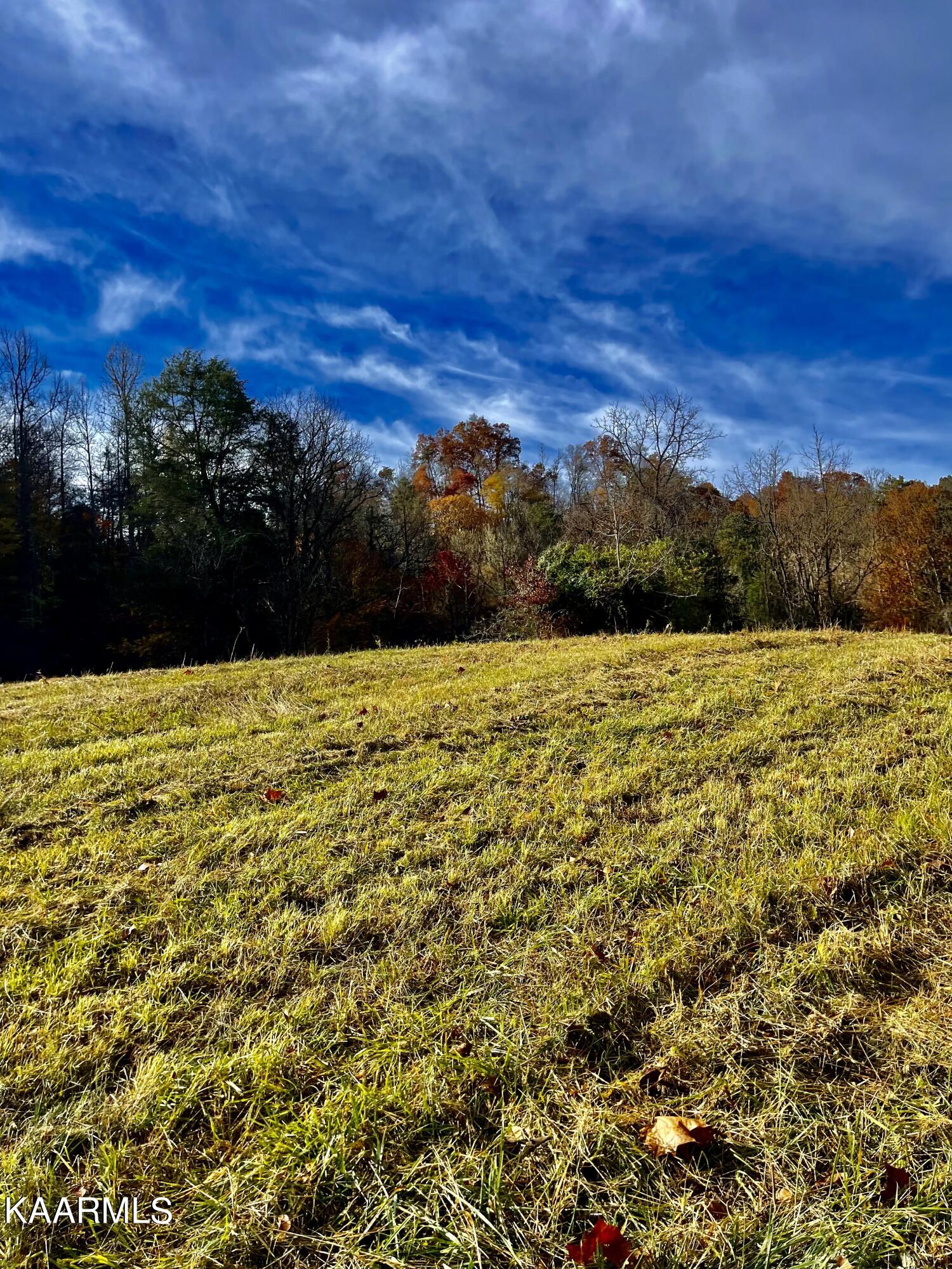 114 Acres State Highway 33 Tazewell TN 37879