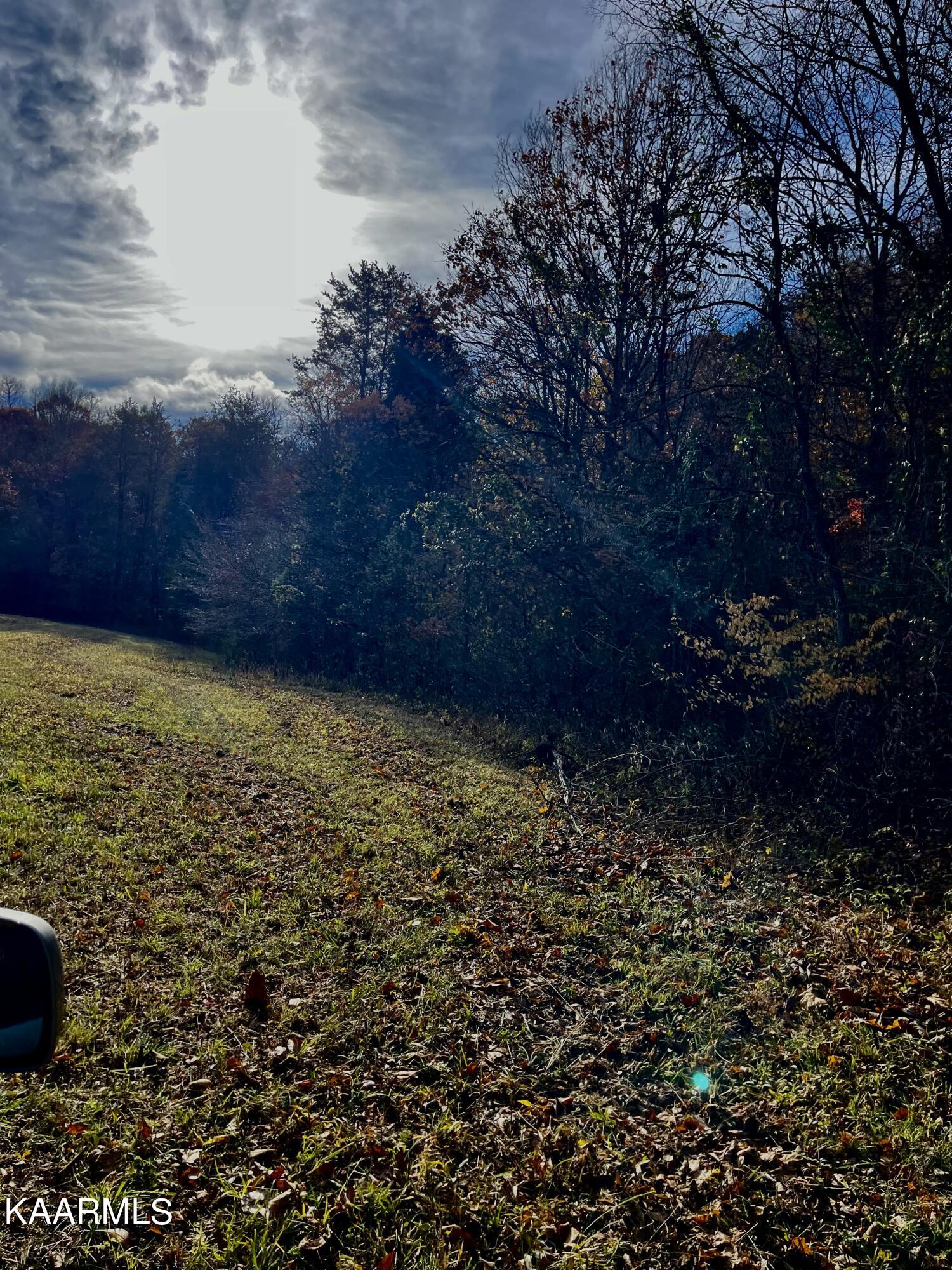 114 Acres State Highway 33 Tazewell TN 37879