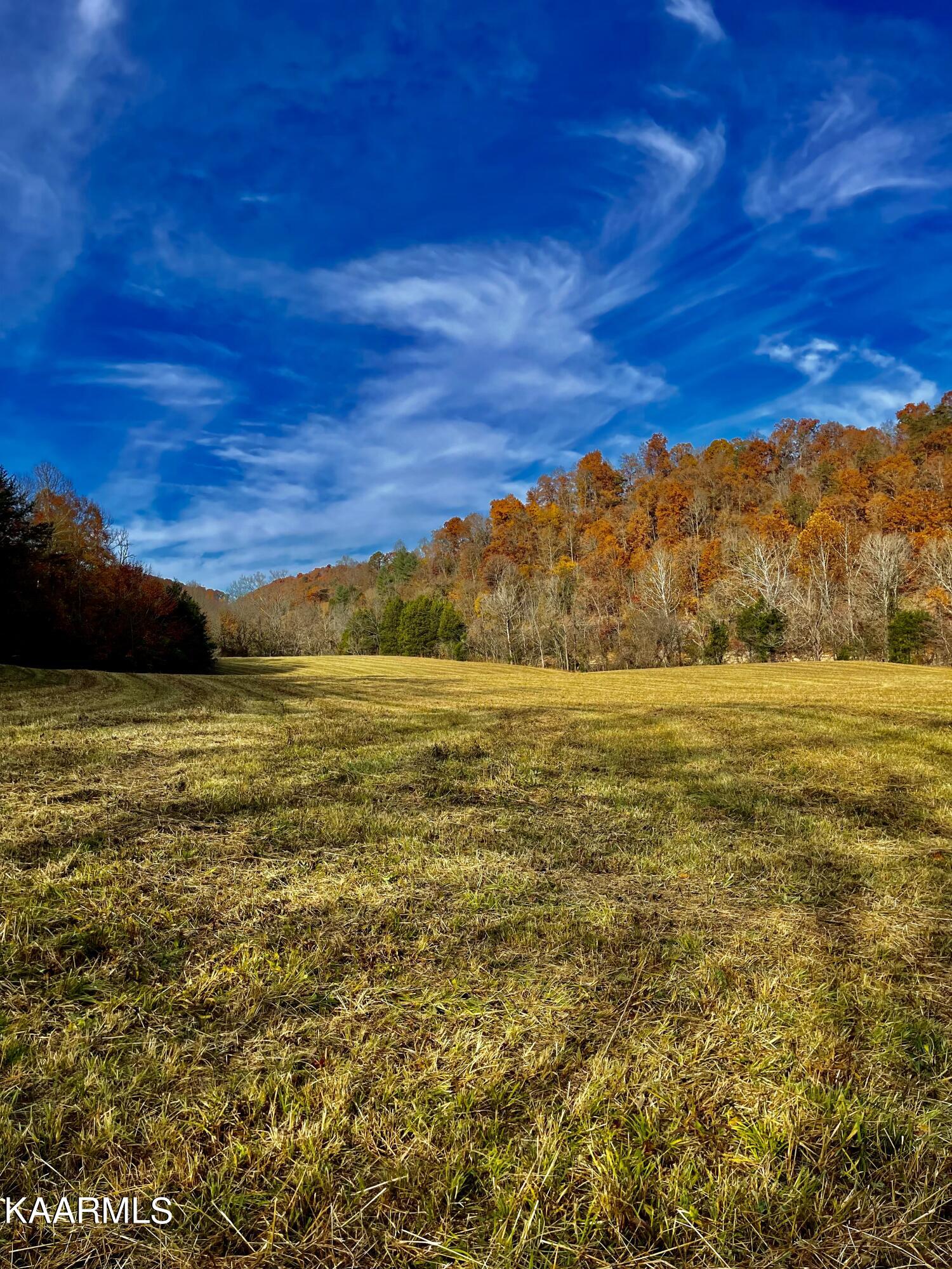 114 Acres State Highway 33 Tazewell TN 37879