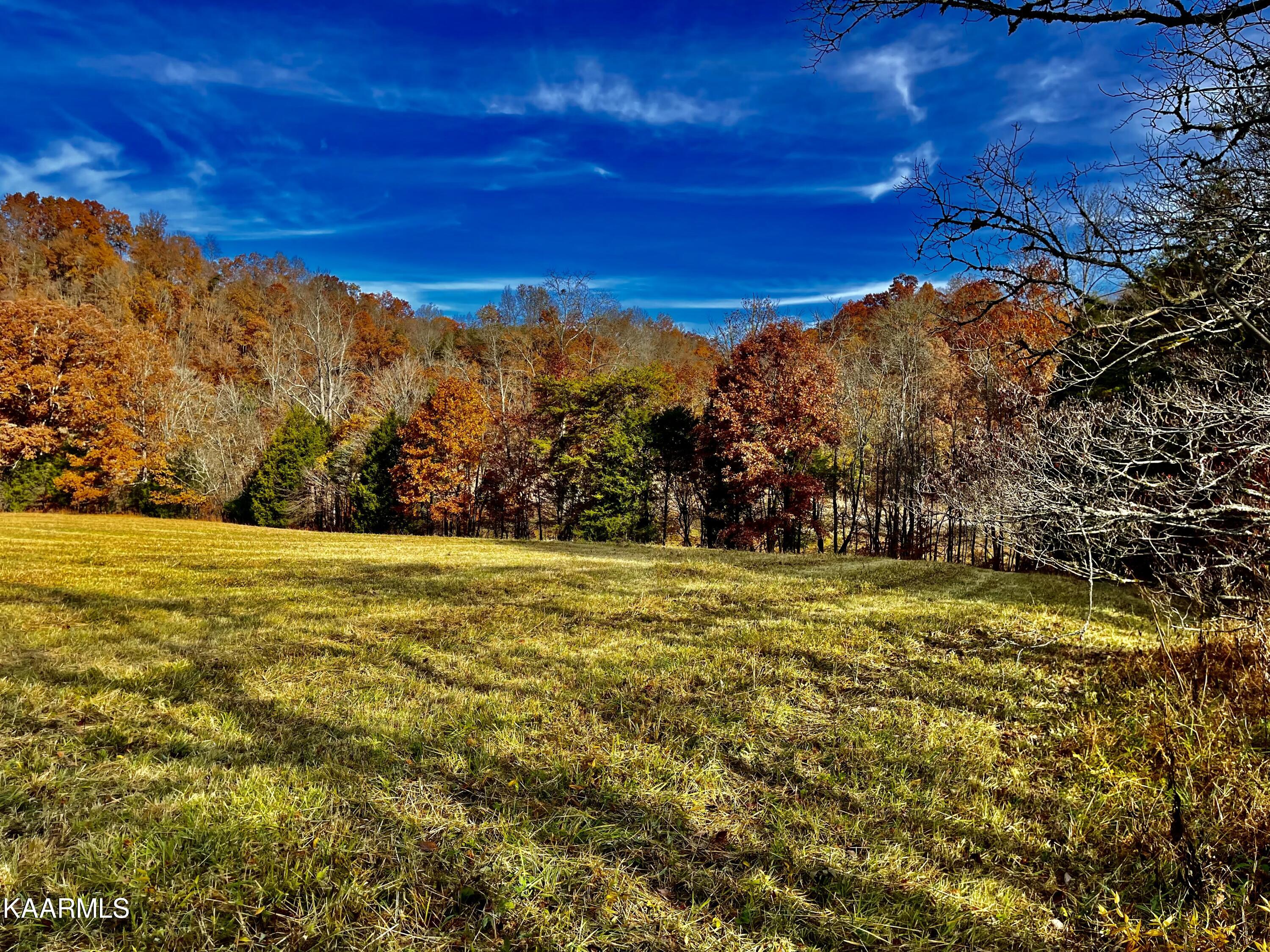114 Acres State Highway 33 Tazewell TN 37879