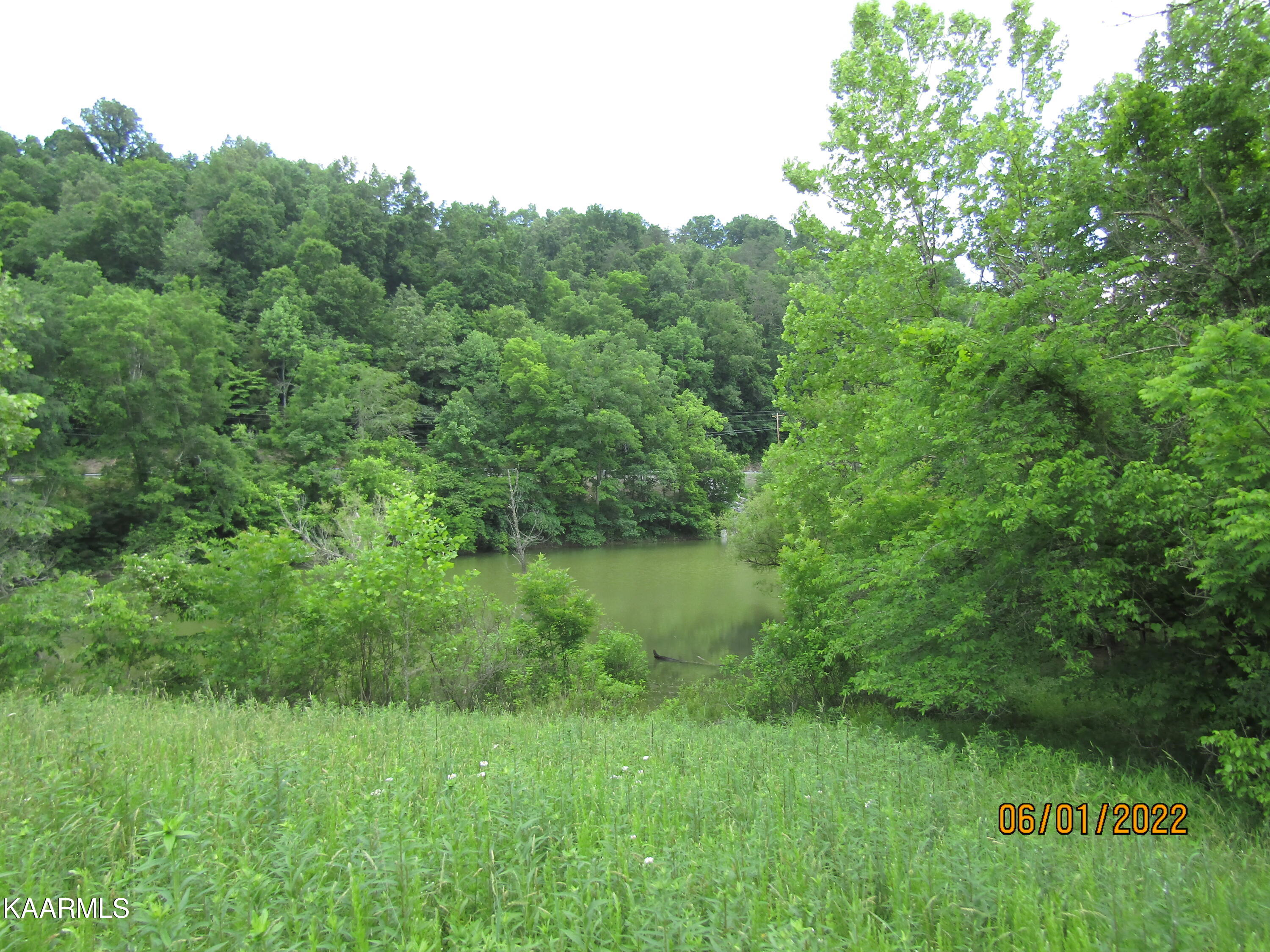 114 Acres State Highway 33 Tazewell TN 37879
