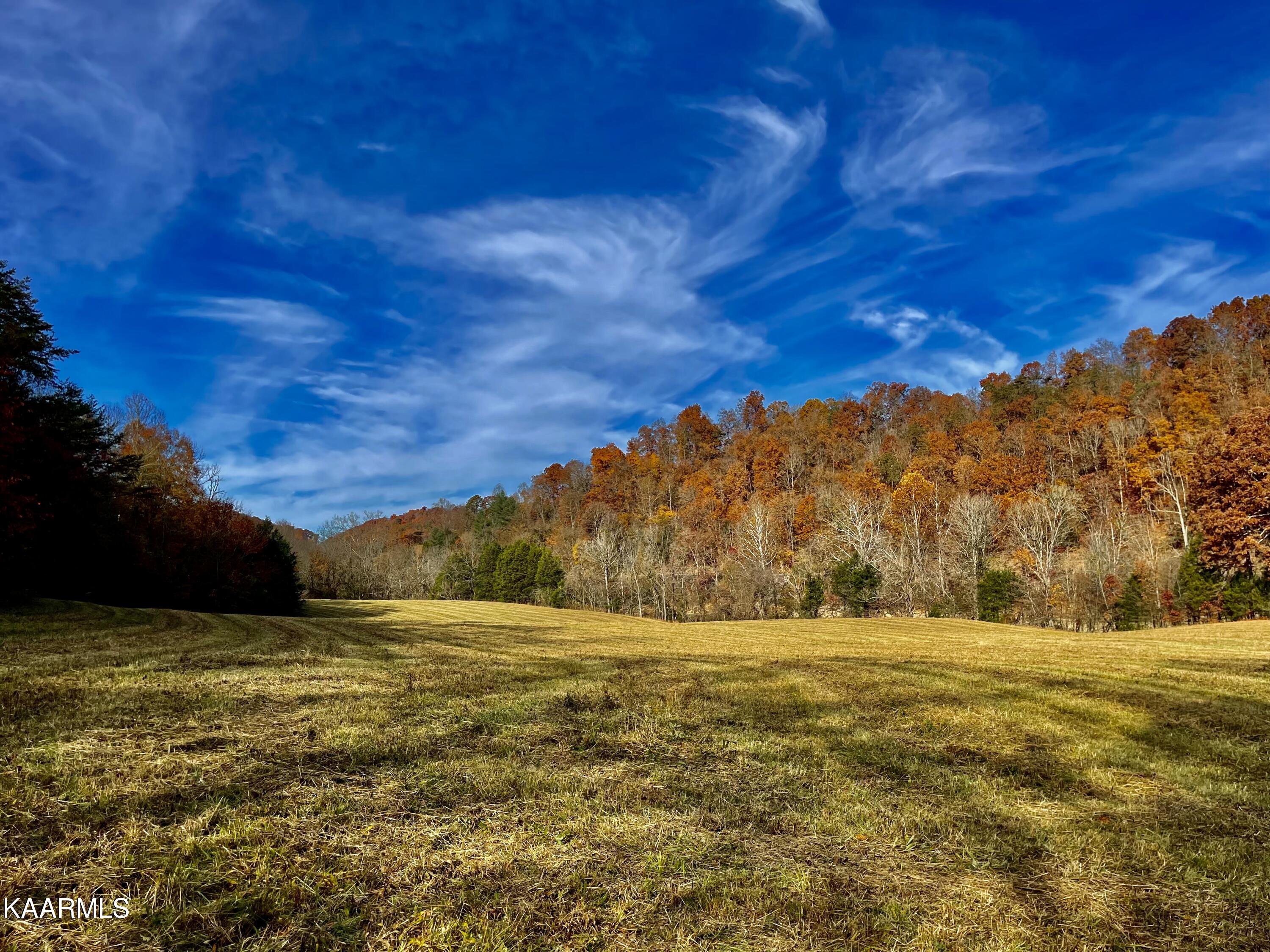 114 Acres State Highway 33 Tazewell TN 37879
