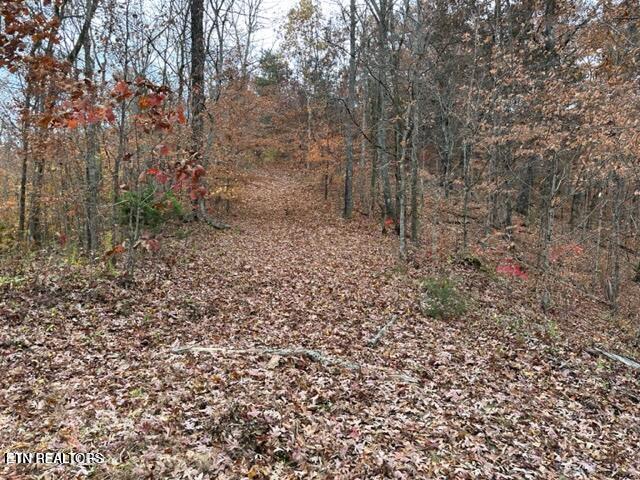 441 Trails End Road Walland TN 37886