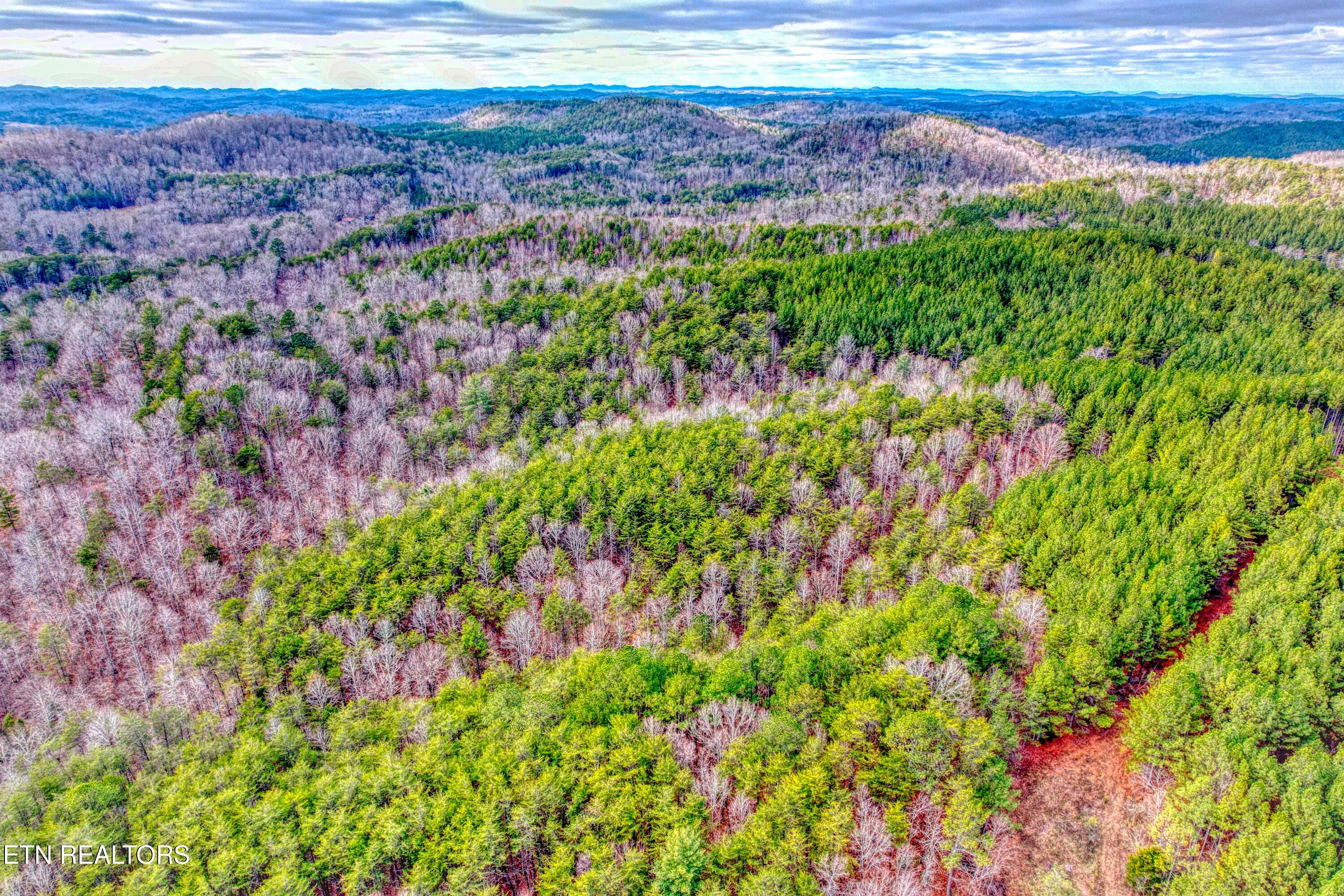 Boiling Springs Road Vonore TN 37885