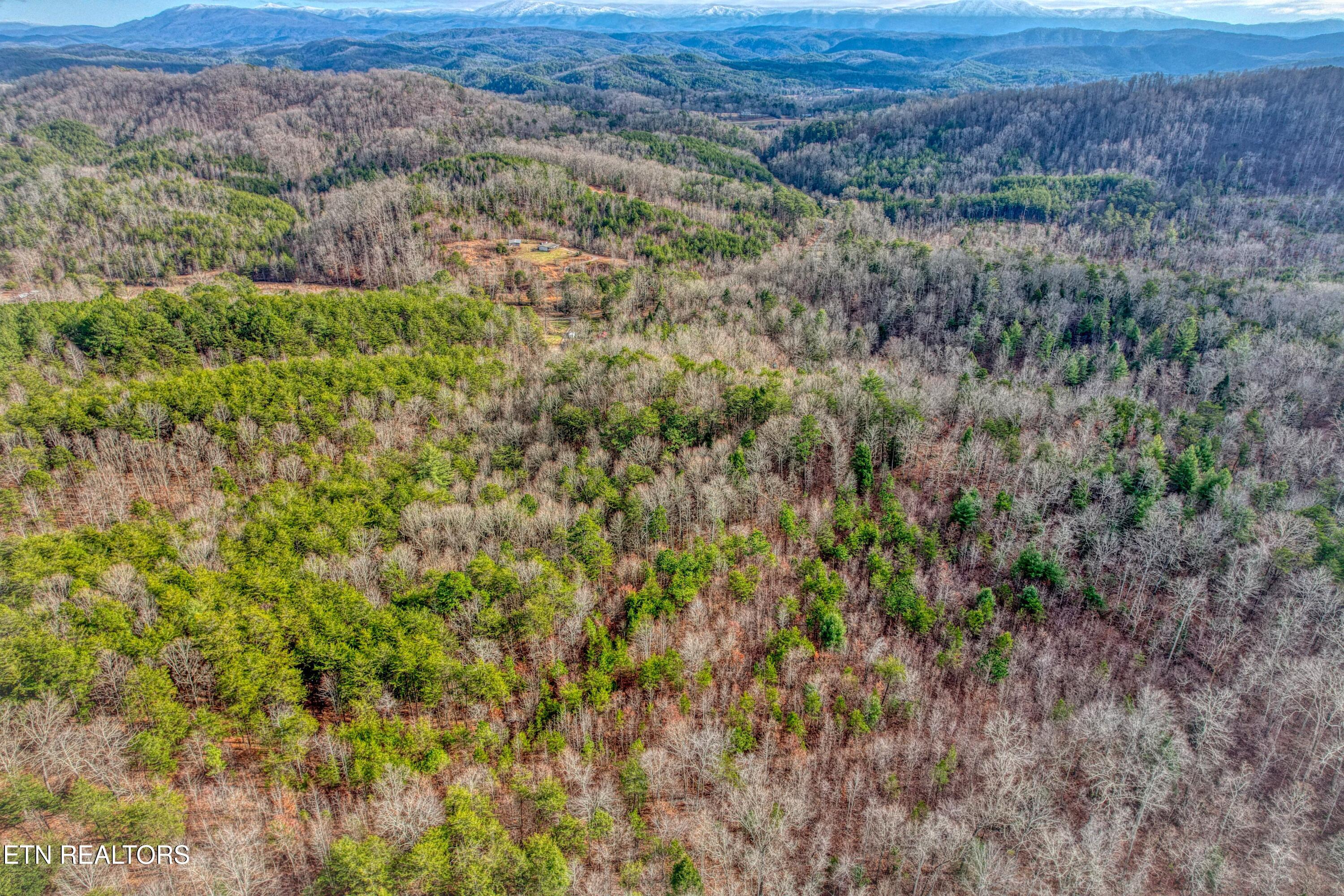 Boiling Springs Road Vonore TN 37885