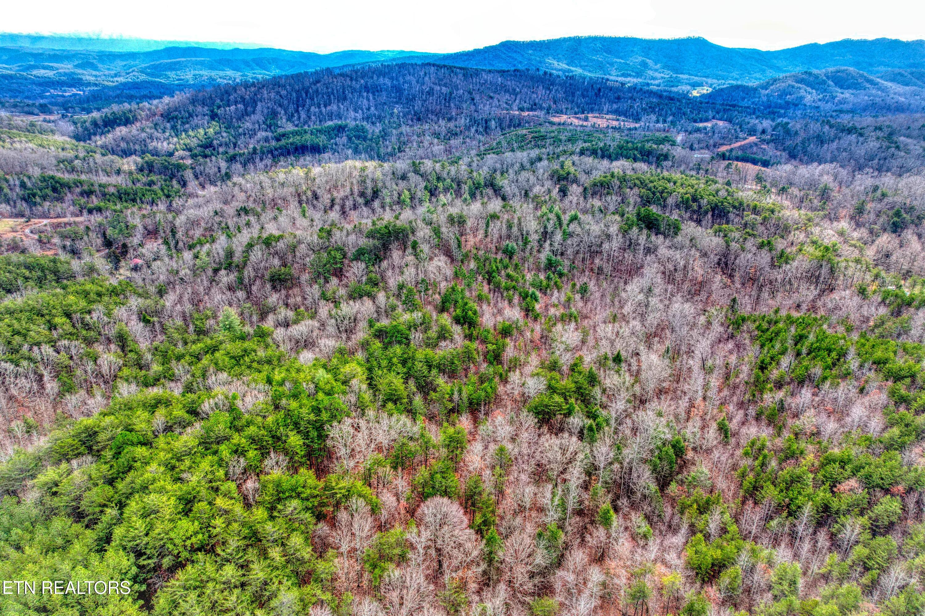 Boiling Springs Road Vonore TN 37885