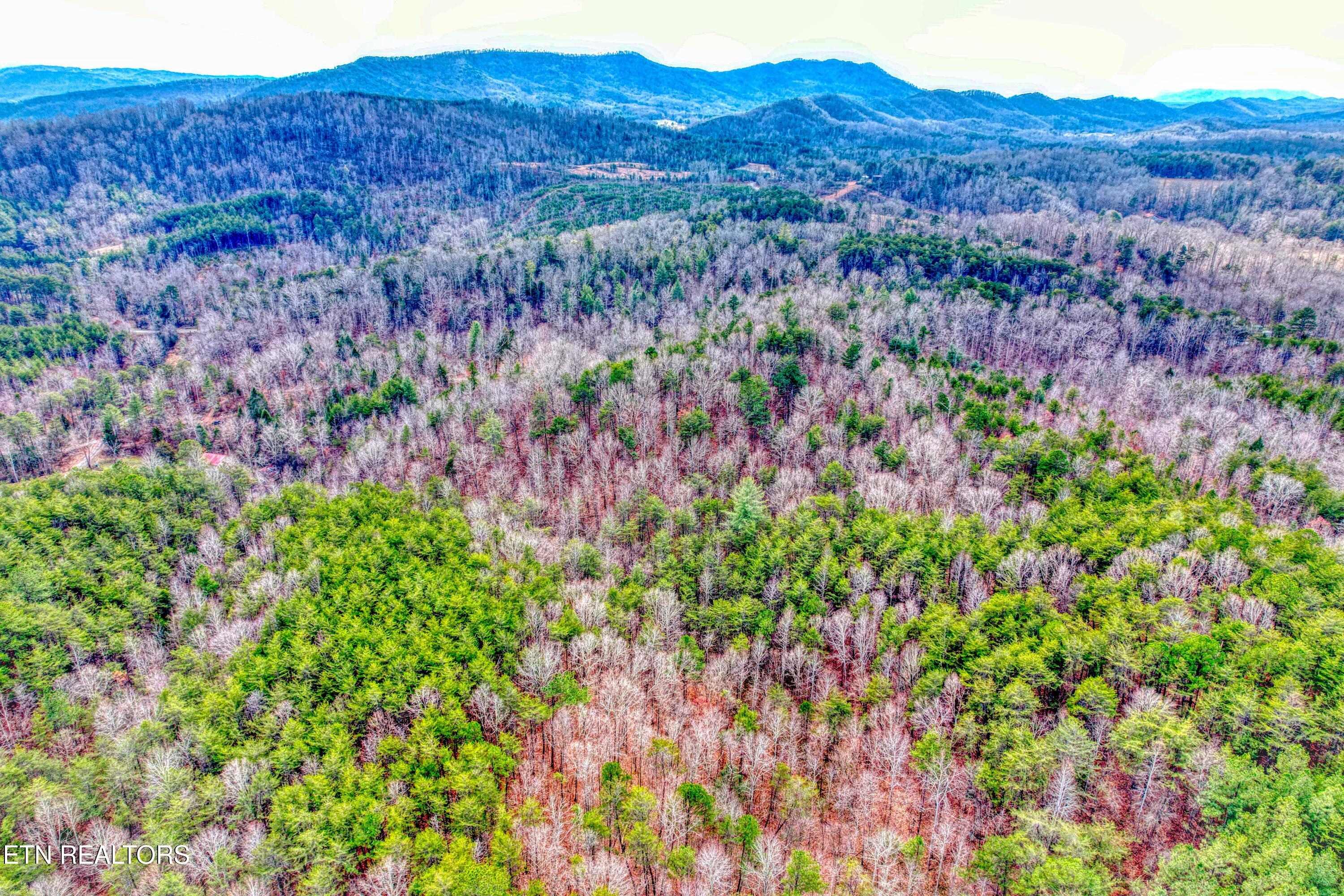 Boiling Springs Road Vonore TN 37885