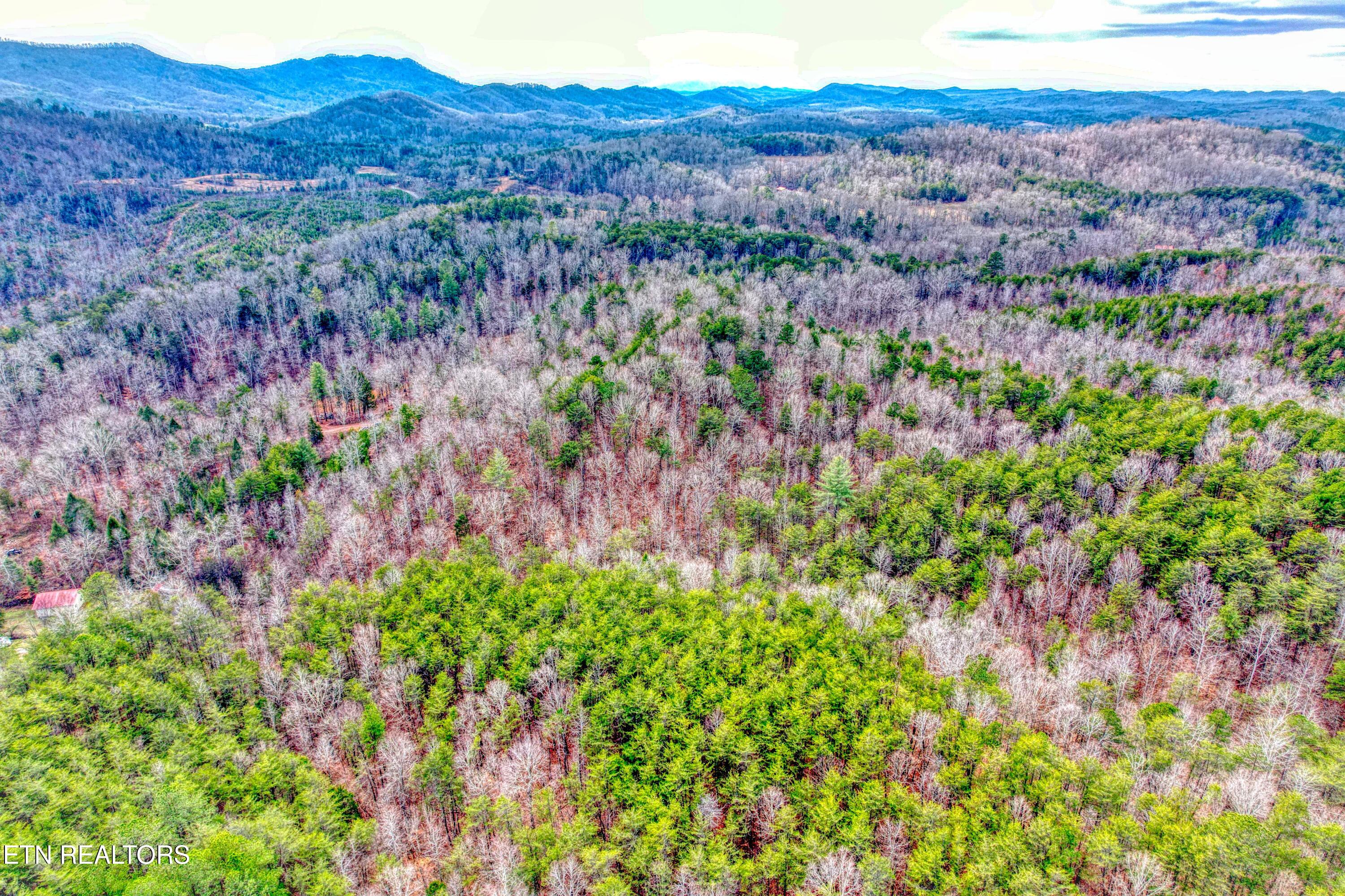 Boiling Springs Road Vonore TN 37885