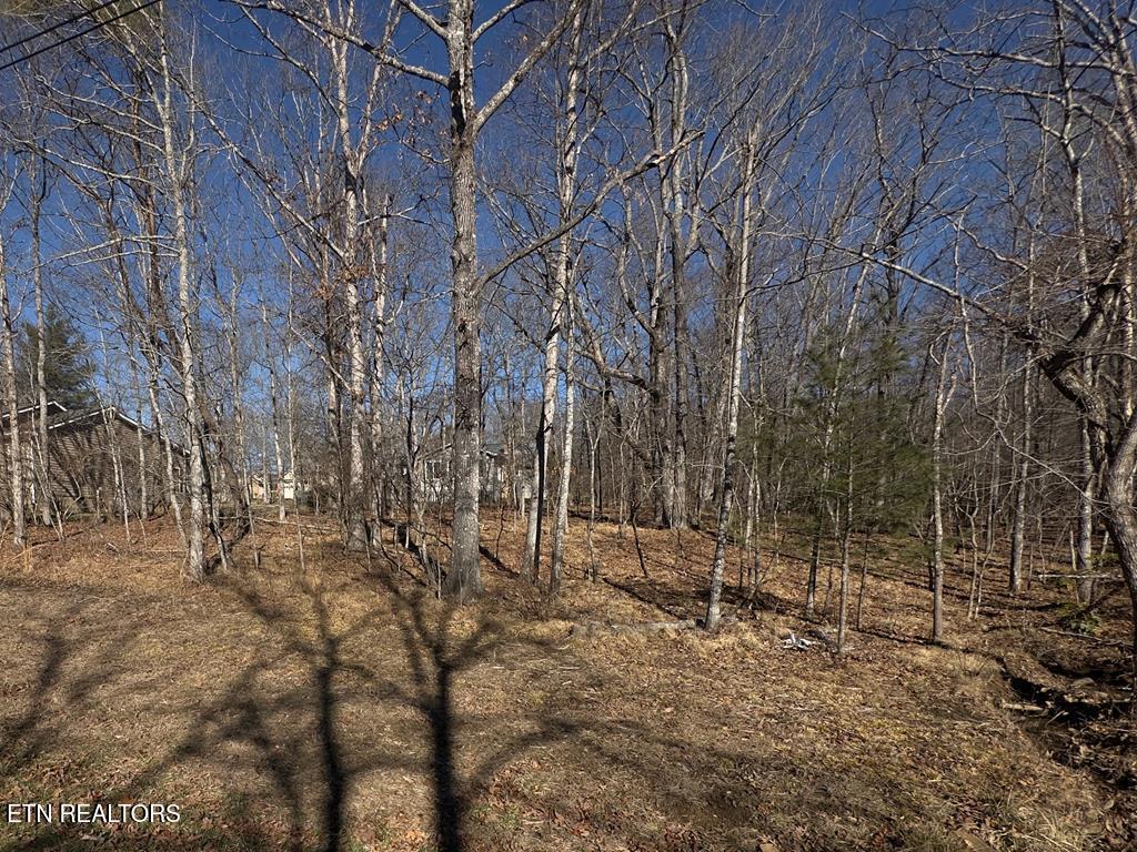 106 Hilton Lane Crossville TN 38558
