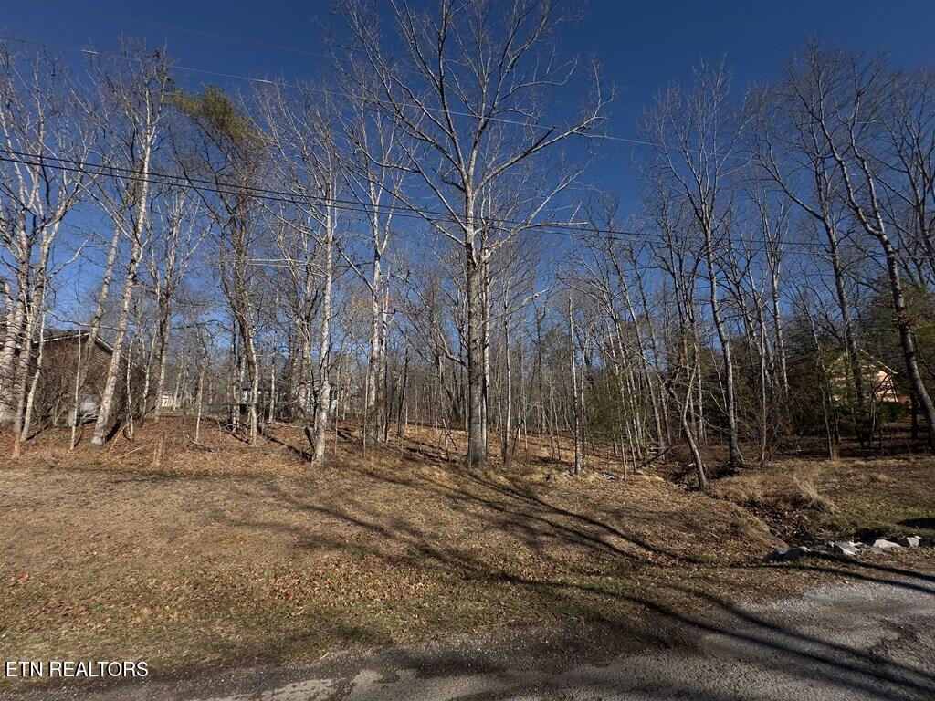 106 Hilton Lane Crossville TN 38558