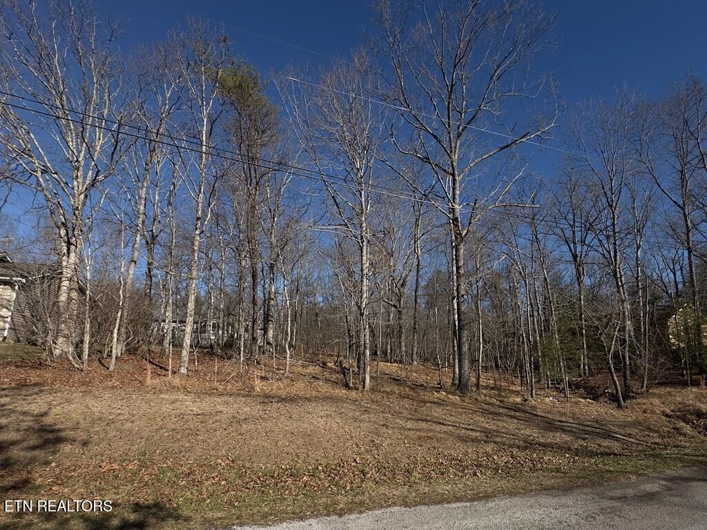 106 Hilton Lane Crossville TN 38558