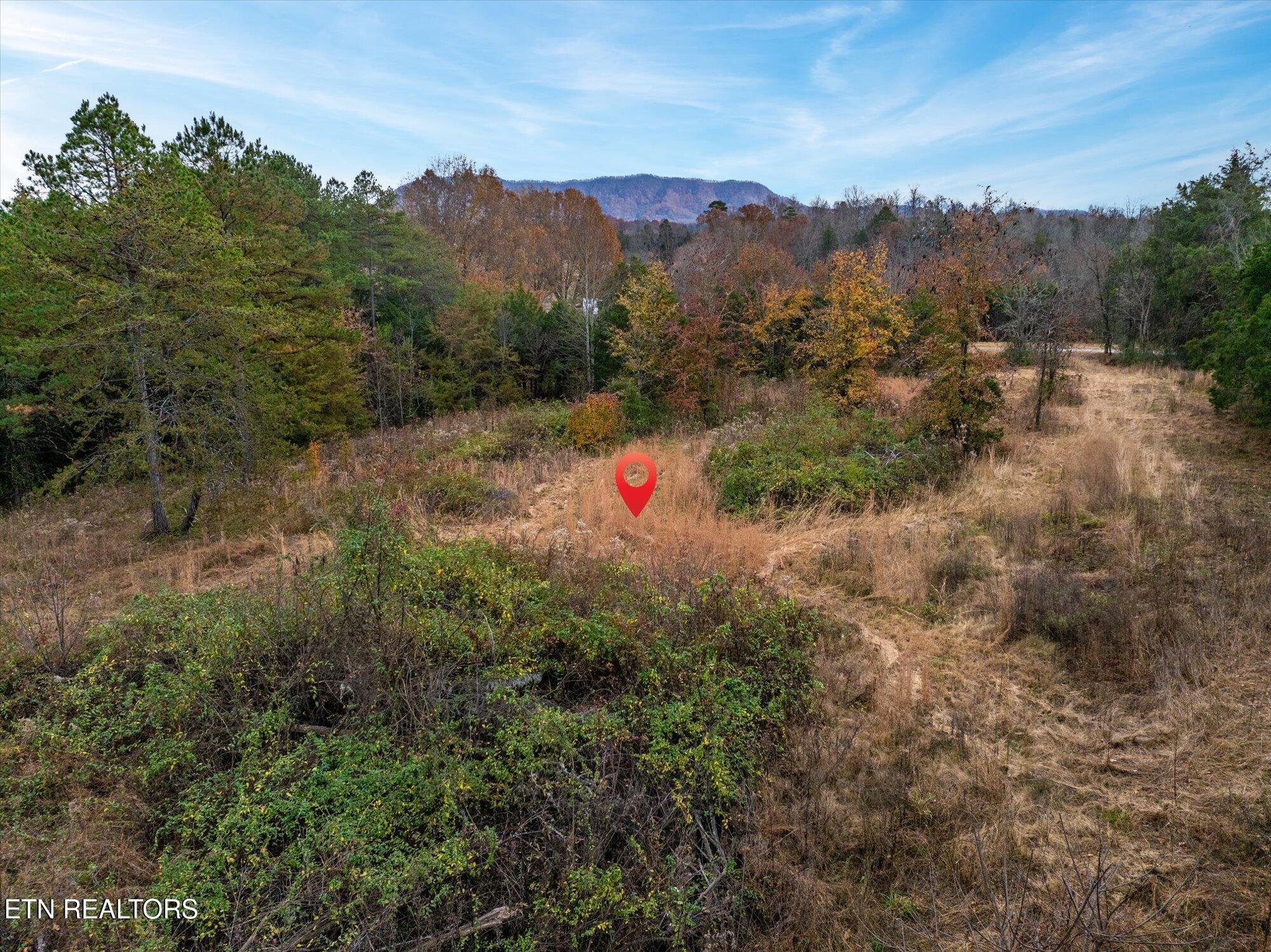 7945 Rodgers Road Corryton TN 37721