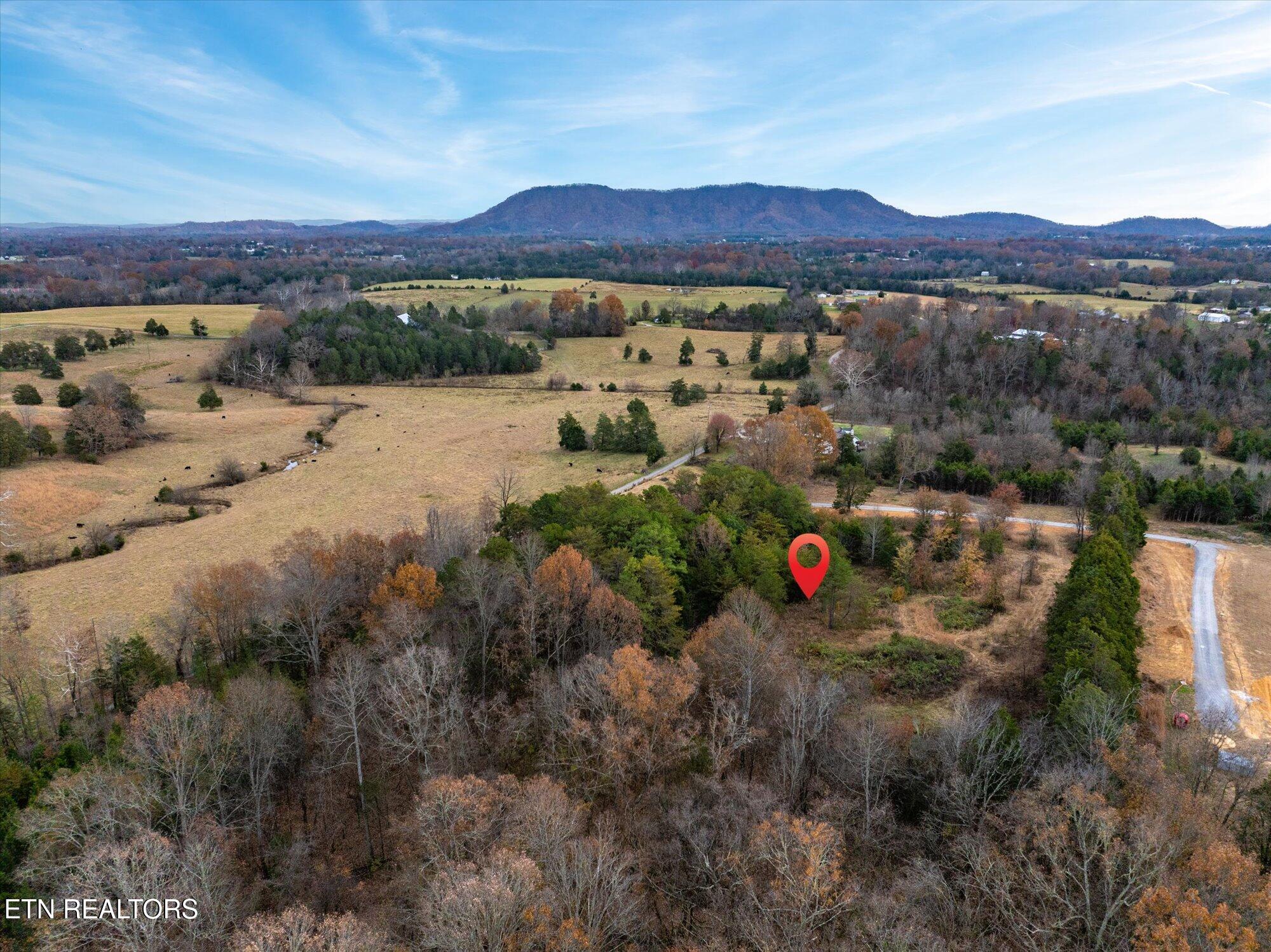 7945 Rodgers Road Corryton TN 37721