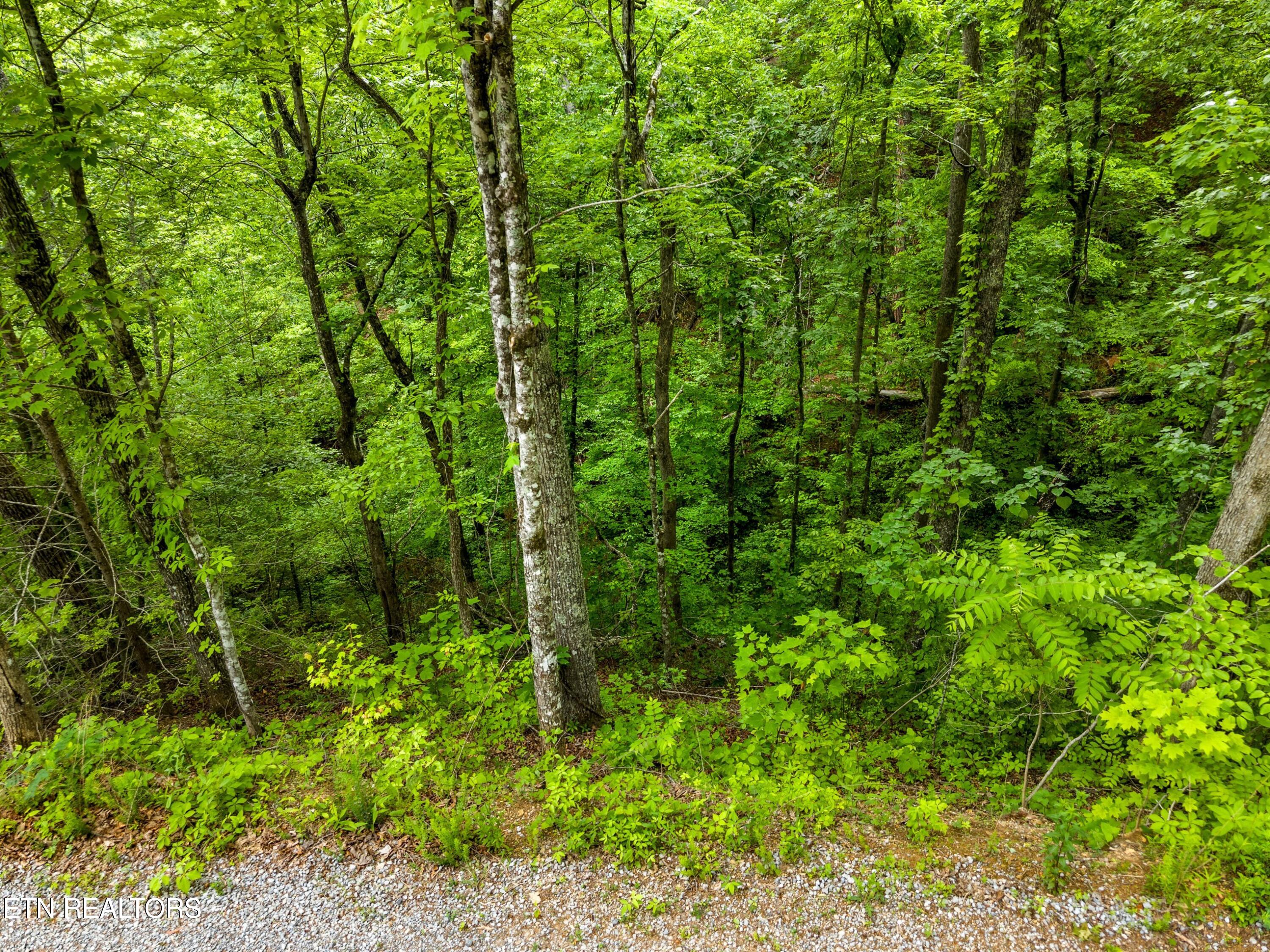 Red Bone Way Sevierville TN 37876