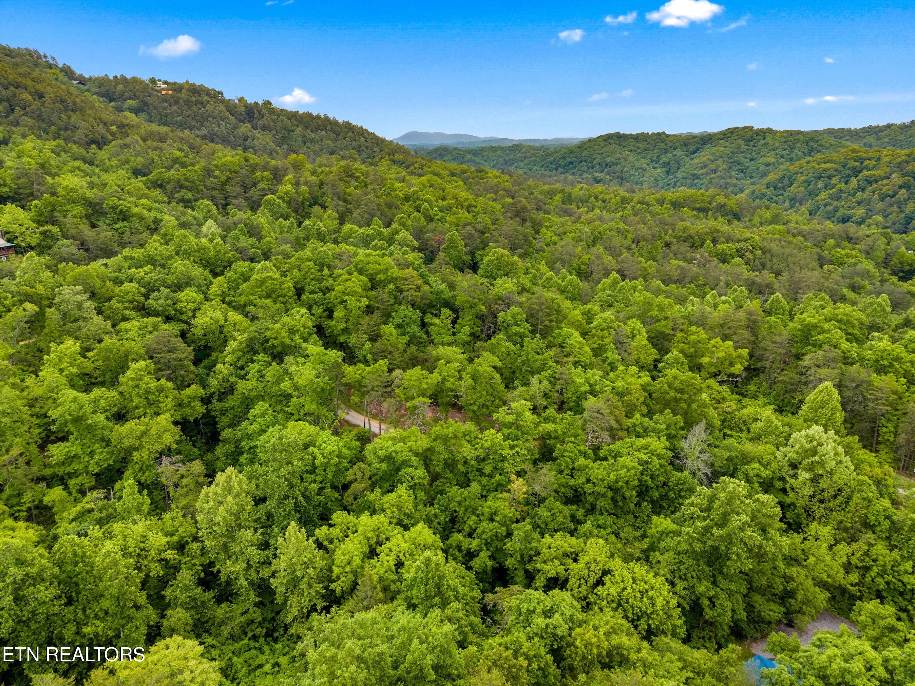 Red Bone Way Sevierville TN 37876