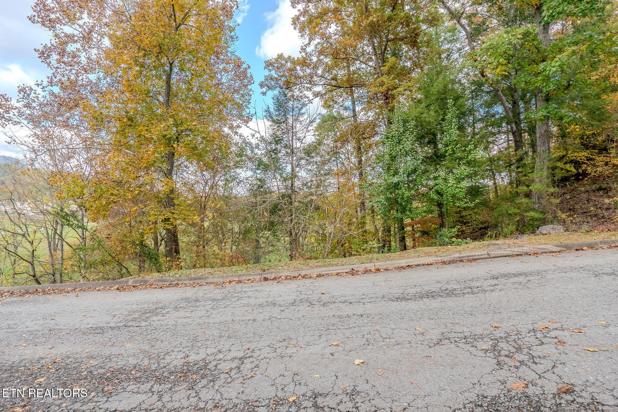 Lot 5 Mountain Lodge Way Sevierville TN 37862