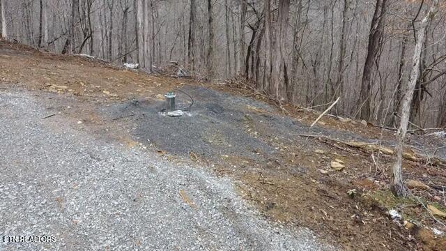 7053 Cooks Hollow Road Maryville TN 37801