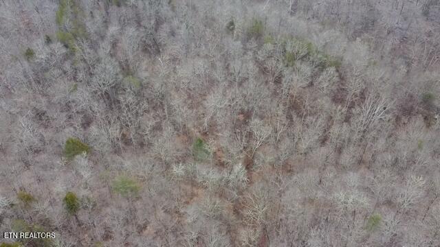 7053 Cooks Hollow Road Maryville TN 37801
