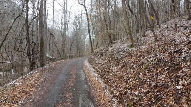 7053 Cooks Hollow Road Maryville TN 37801
