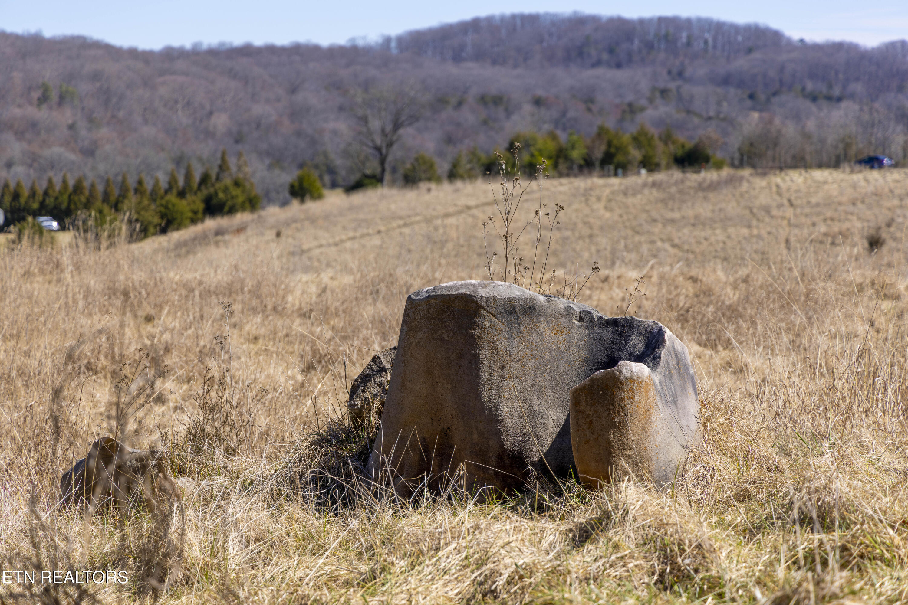 Clifftop Lot 23-r Road Blaine TN 37709