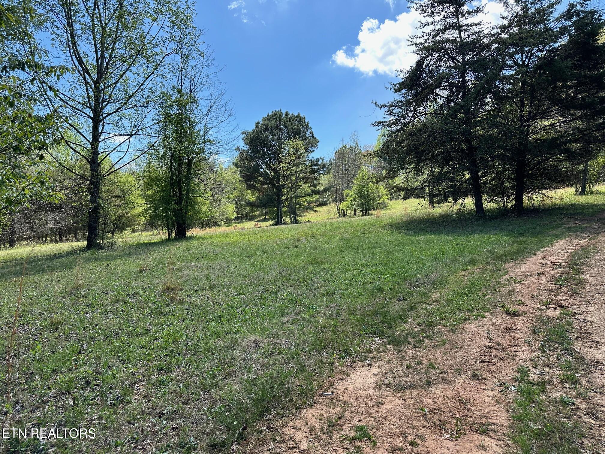 0 White Pine Road Off Road Harriman TN 37748