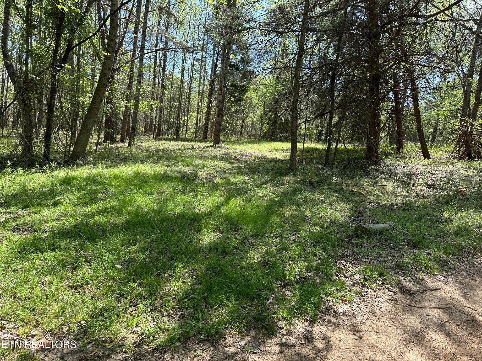 0 White Pine Road Off Road Harriman TN 37748