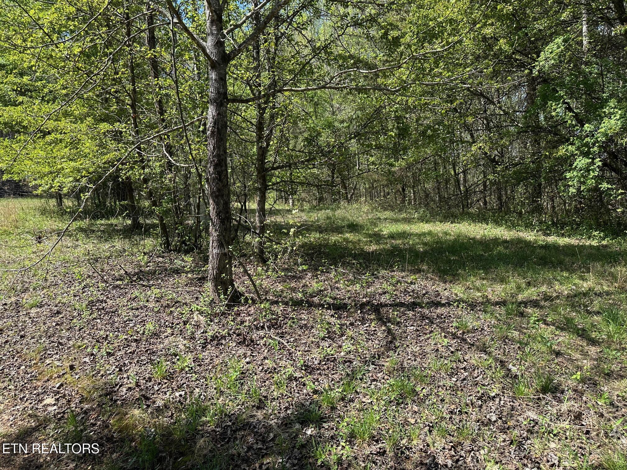 0 White Pine Road Off Road Harriman TN 37748