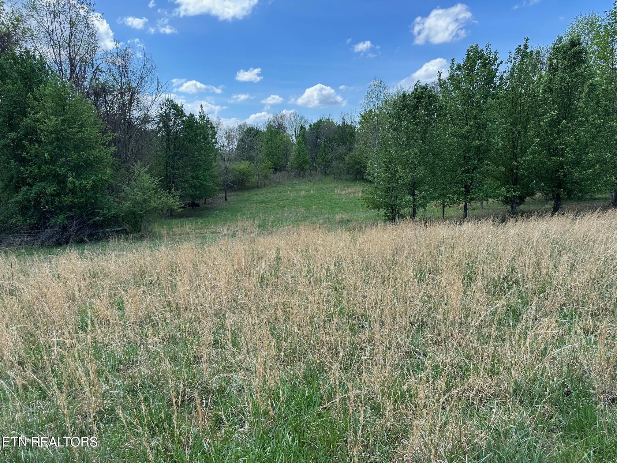 0 White Pine Road Off Road Harriman TN 37748