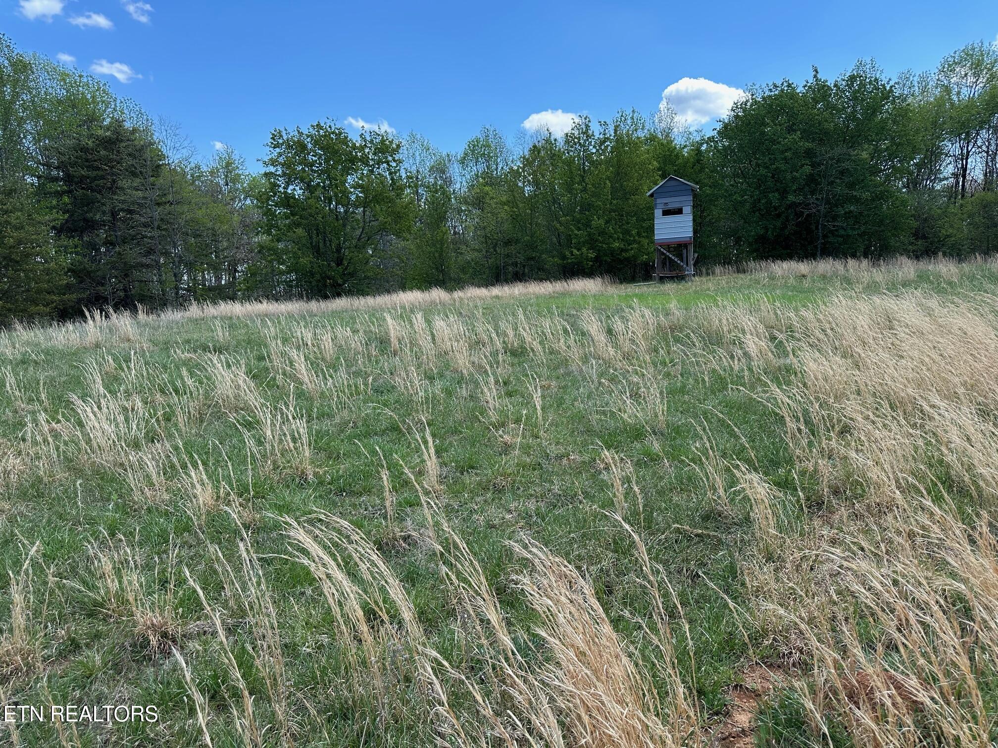 0 White Pine Road Off Road Harriman TN 37748