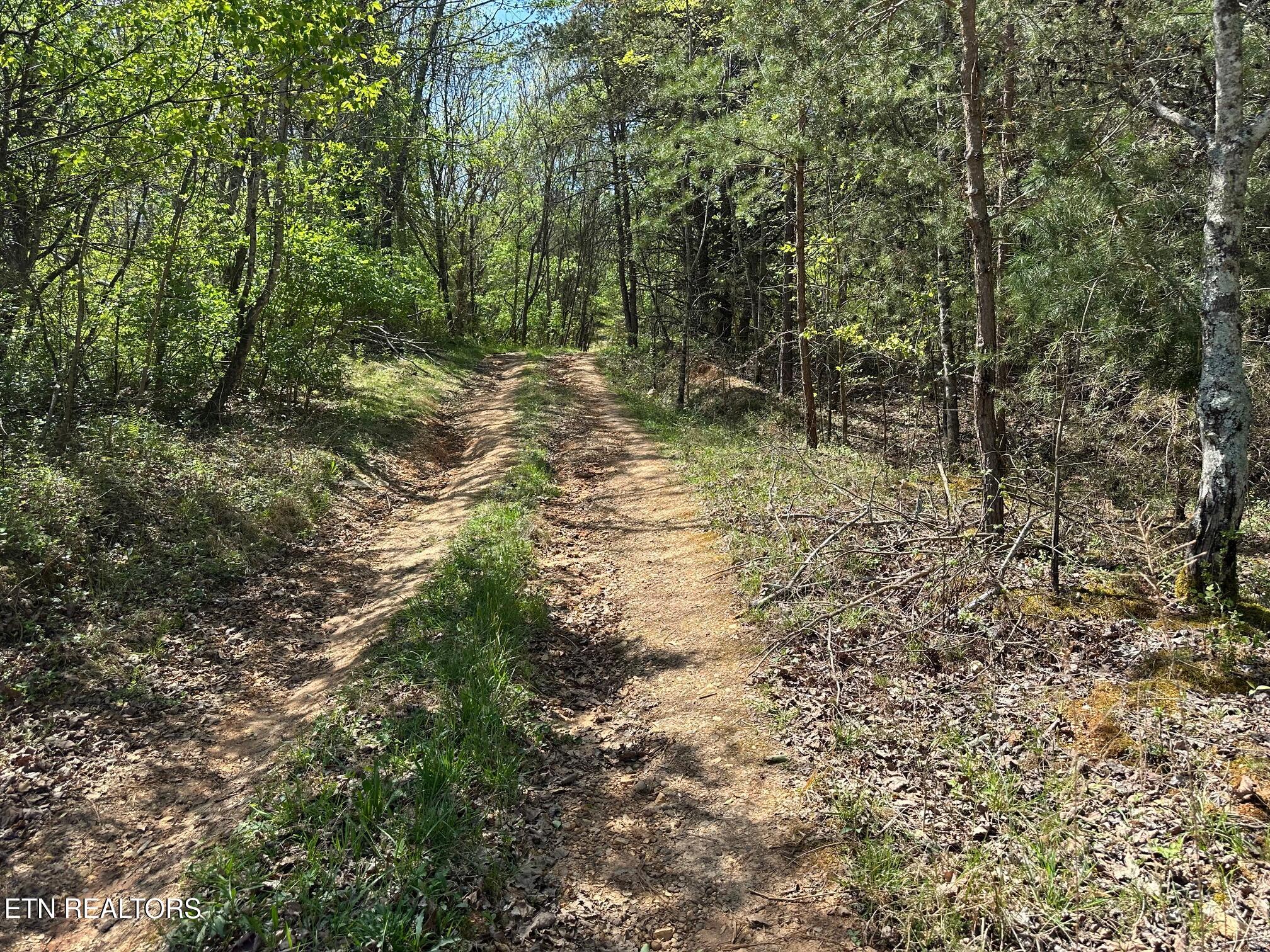 0 White Pine Road Off Road Harriman TN 37748