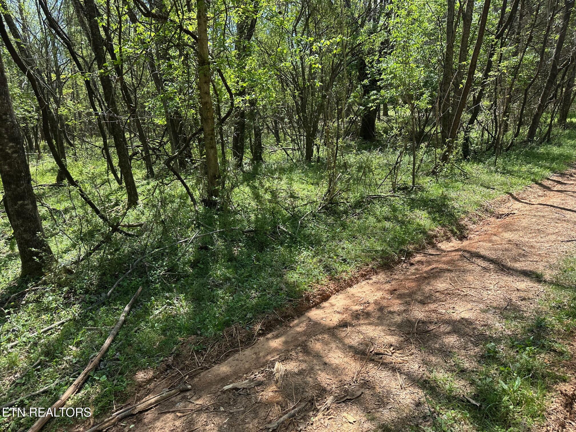 0 White Pine Road Off Road Harriman TN 37748