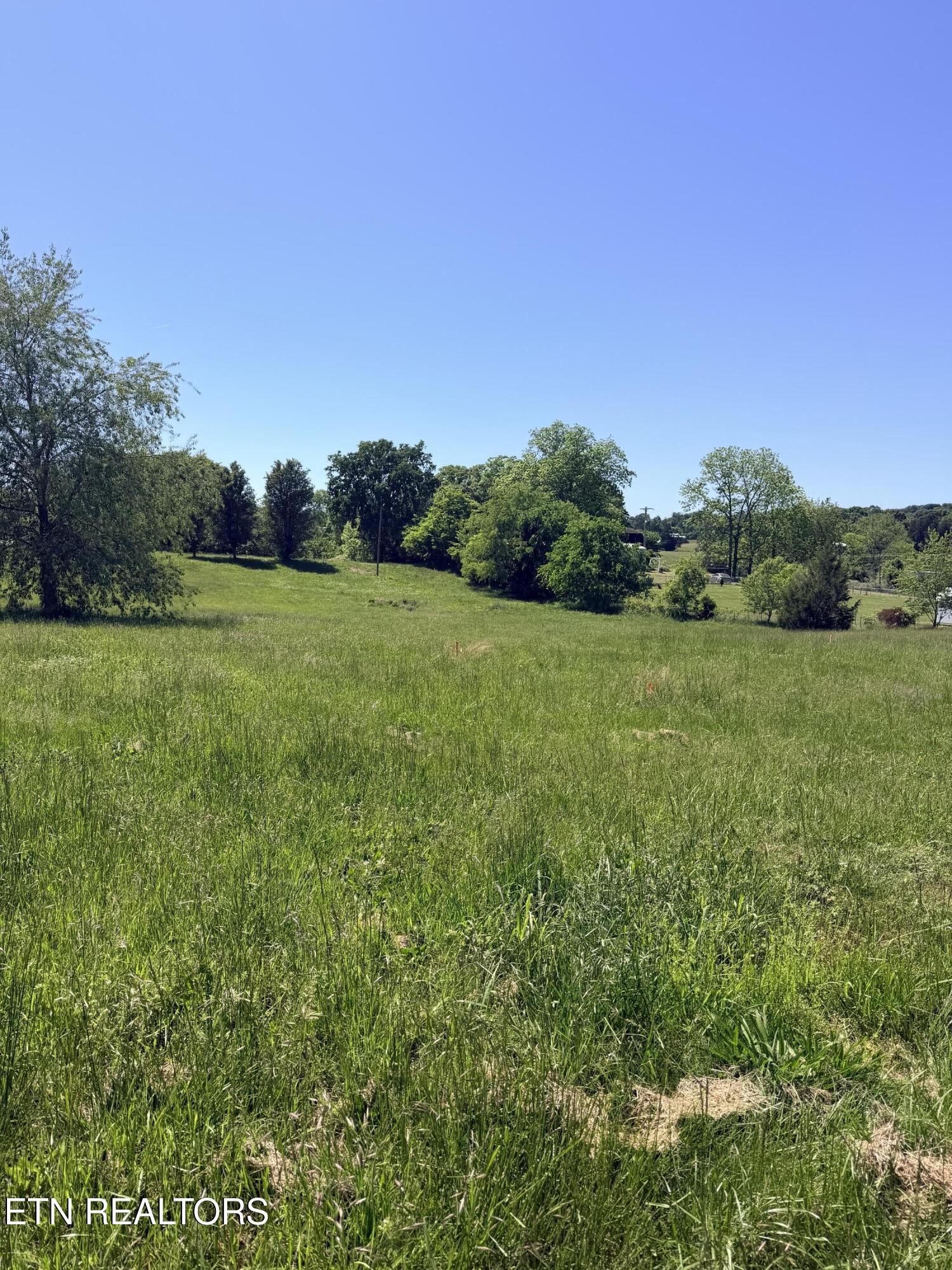2058 Walter Drive Bulls Gap TN 37711