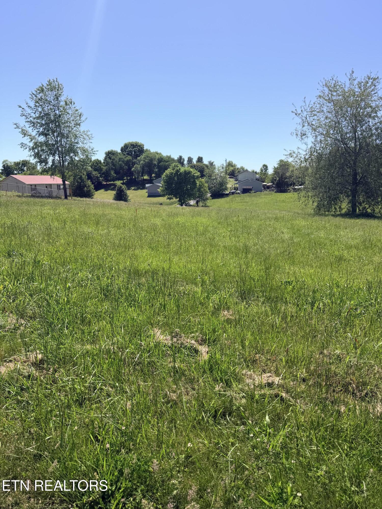 2058 Walter Drive Bulls Gap TN 37711